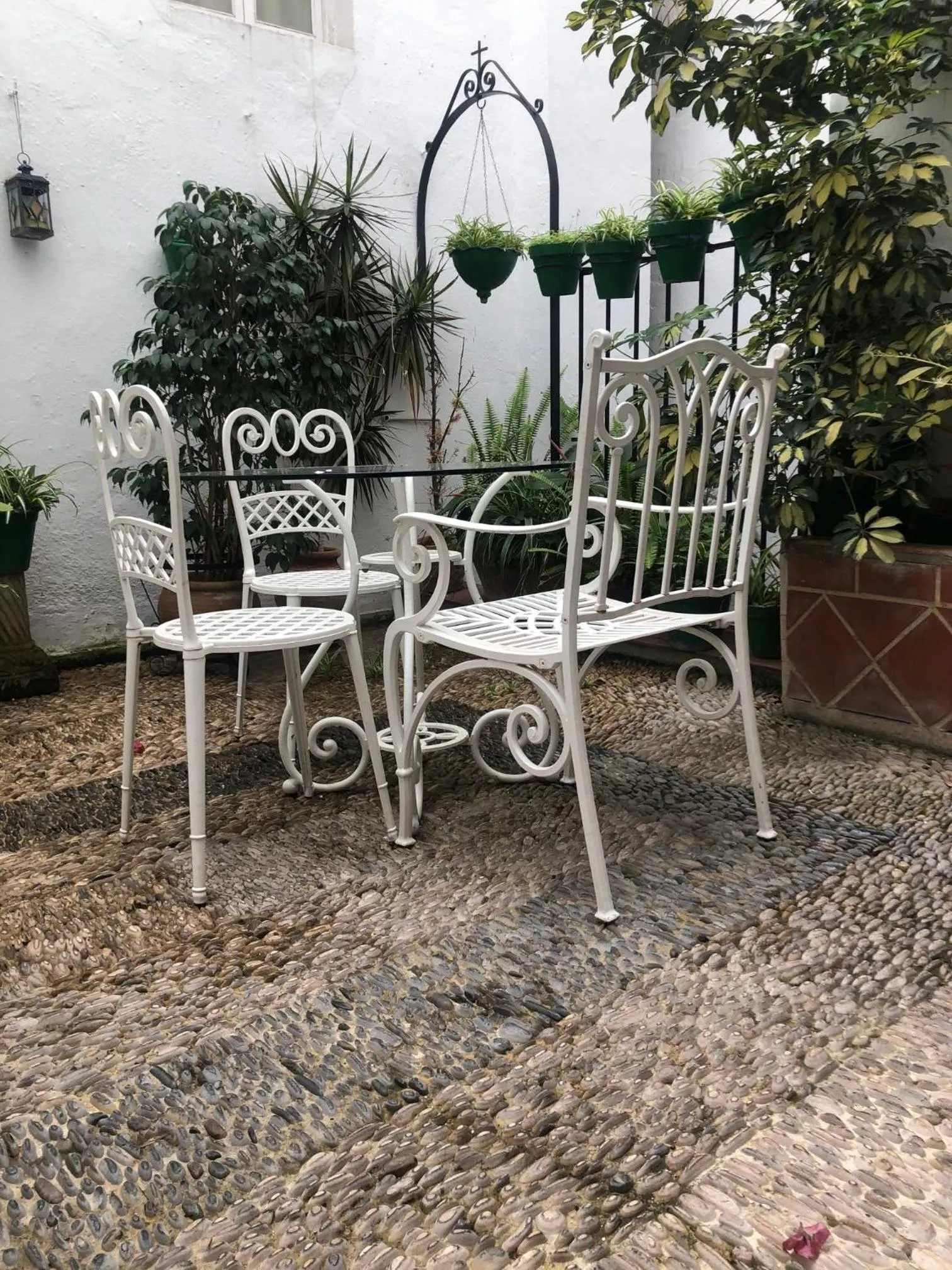 Garden in Hospedería Luis de Góngora