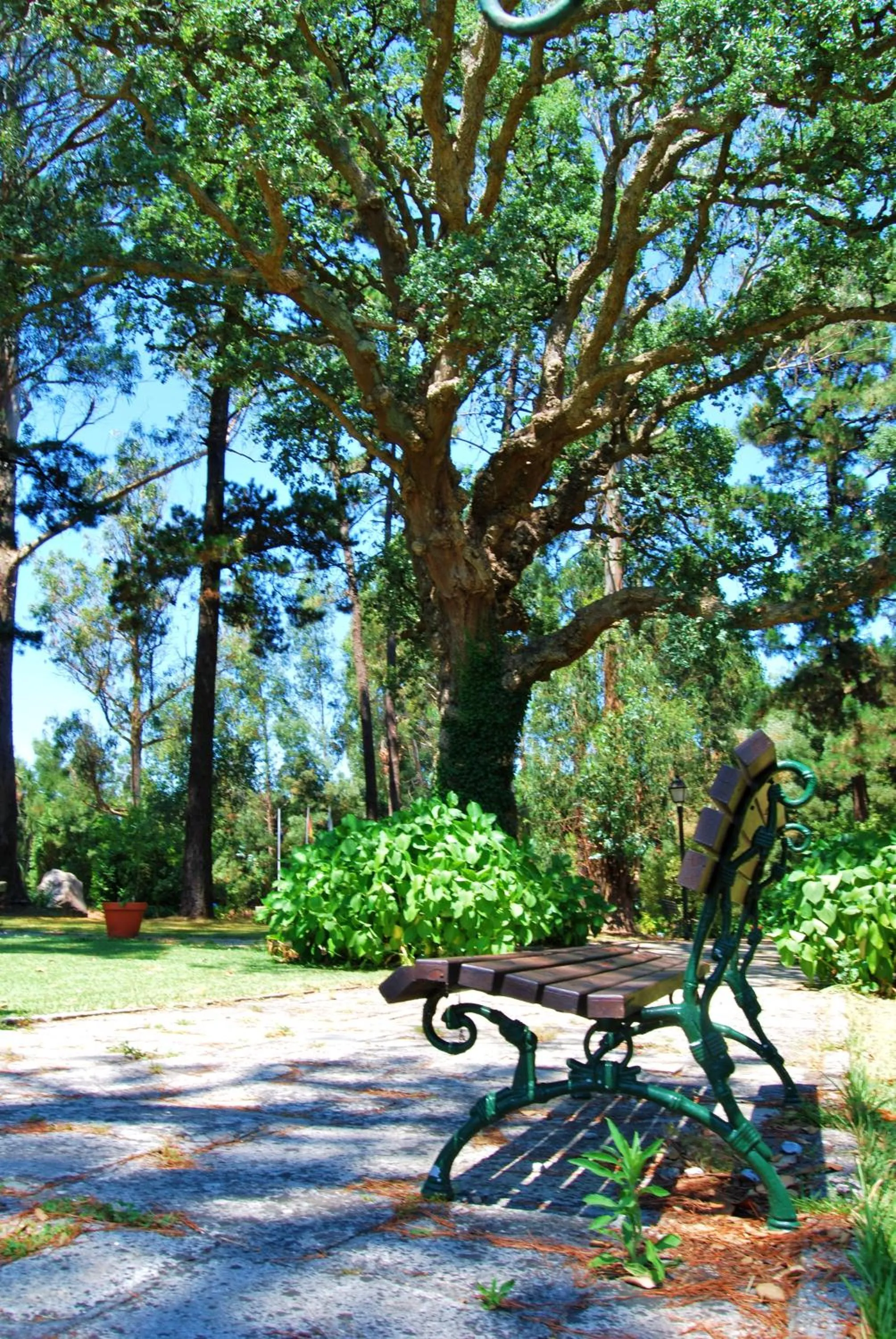 Garden in Hotel Pazo O Rial
