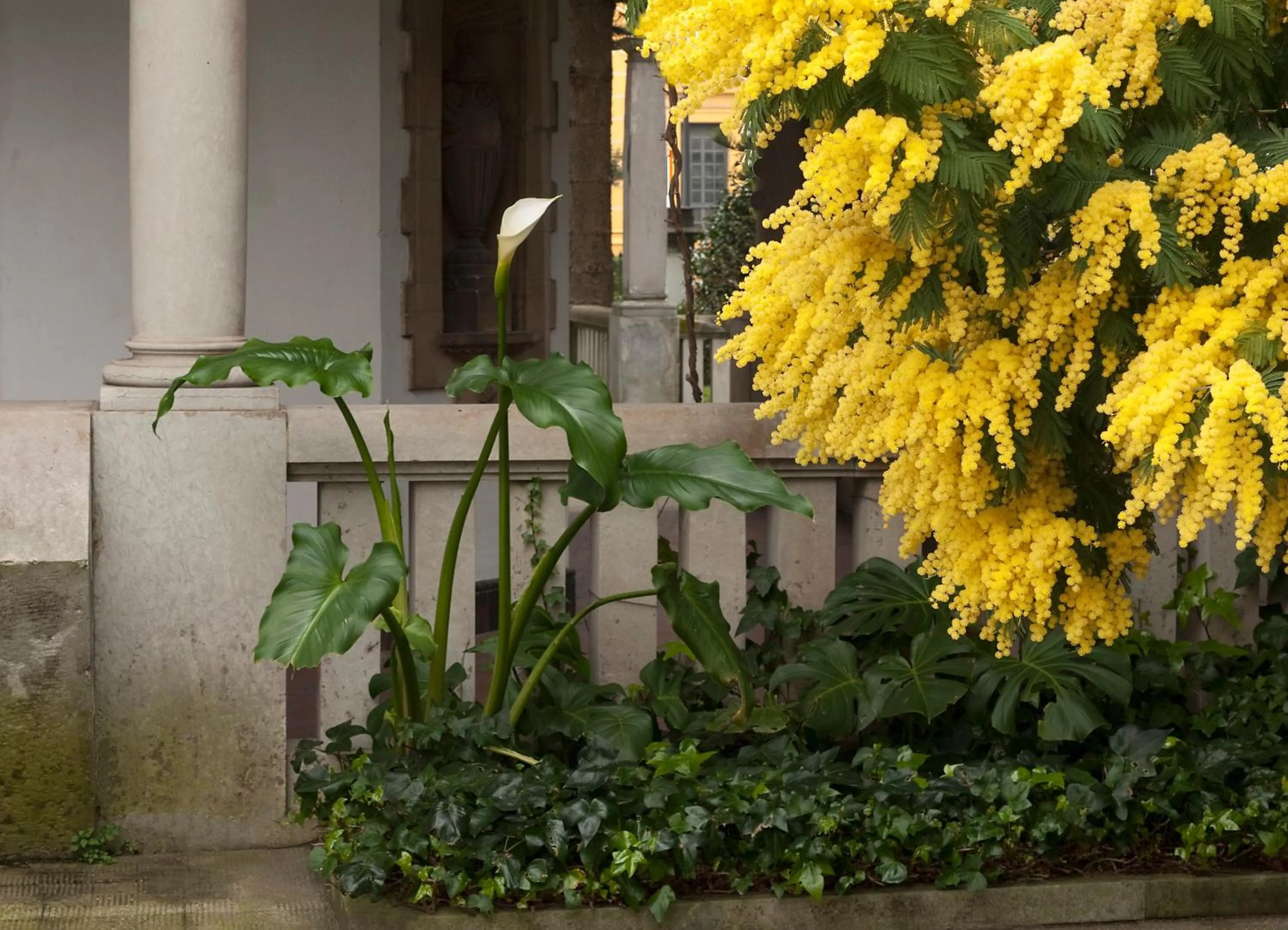 Facade/entrance in Hotel y Apartamentos Arias