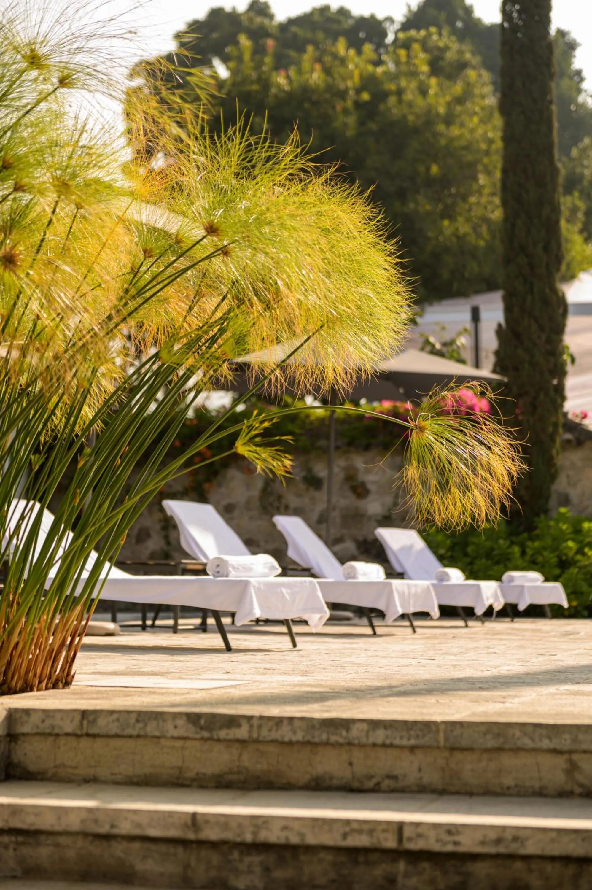 Day in Villa Las Mil Flores