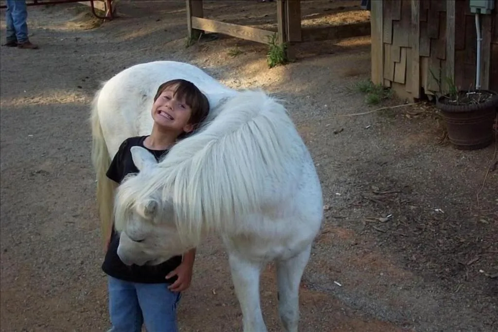 Animals in Alpenhaus Cabins Real Log Home in Helen Ga Mountains with hot tub and balconies