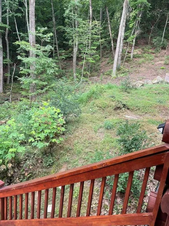 Garden view in Alpenhaus Cabins Real Log Home in Helen Ga Mountains with hot tub and balconies