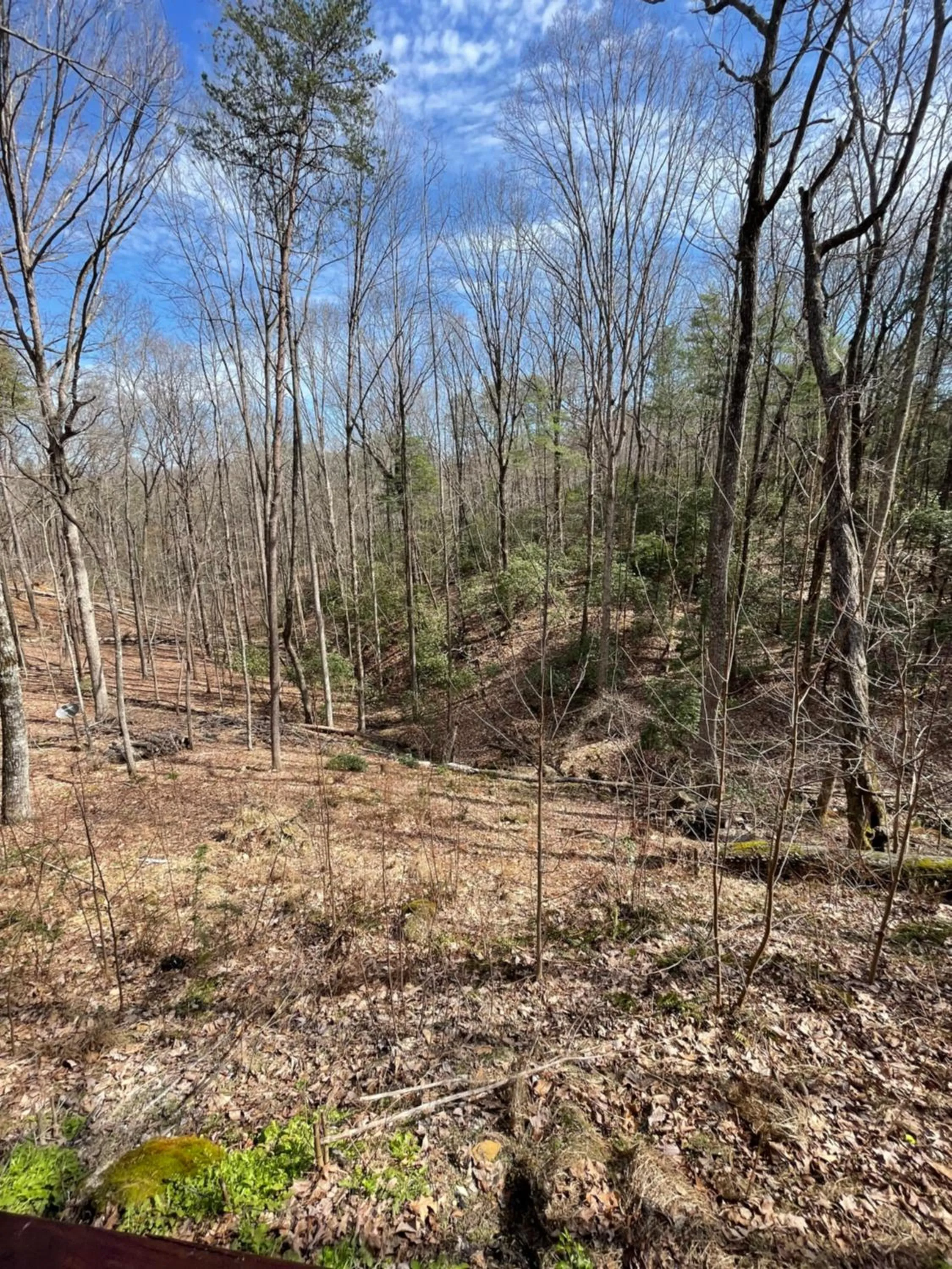 Alpenhaus Cabins Real Log Home in Helen Ga Mountains with hot tub and balconies