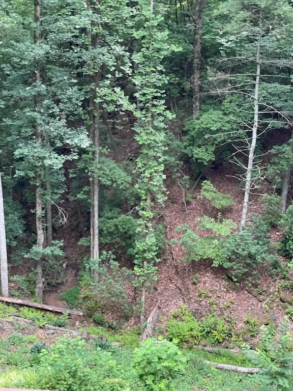 Alpenhaus Cabins Real Log Home in Helen Ga Mountains with hot tub and balconies
