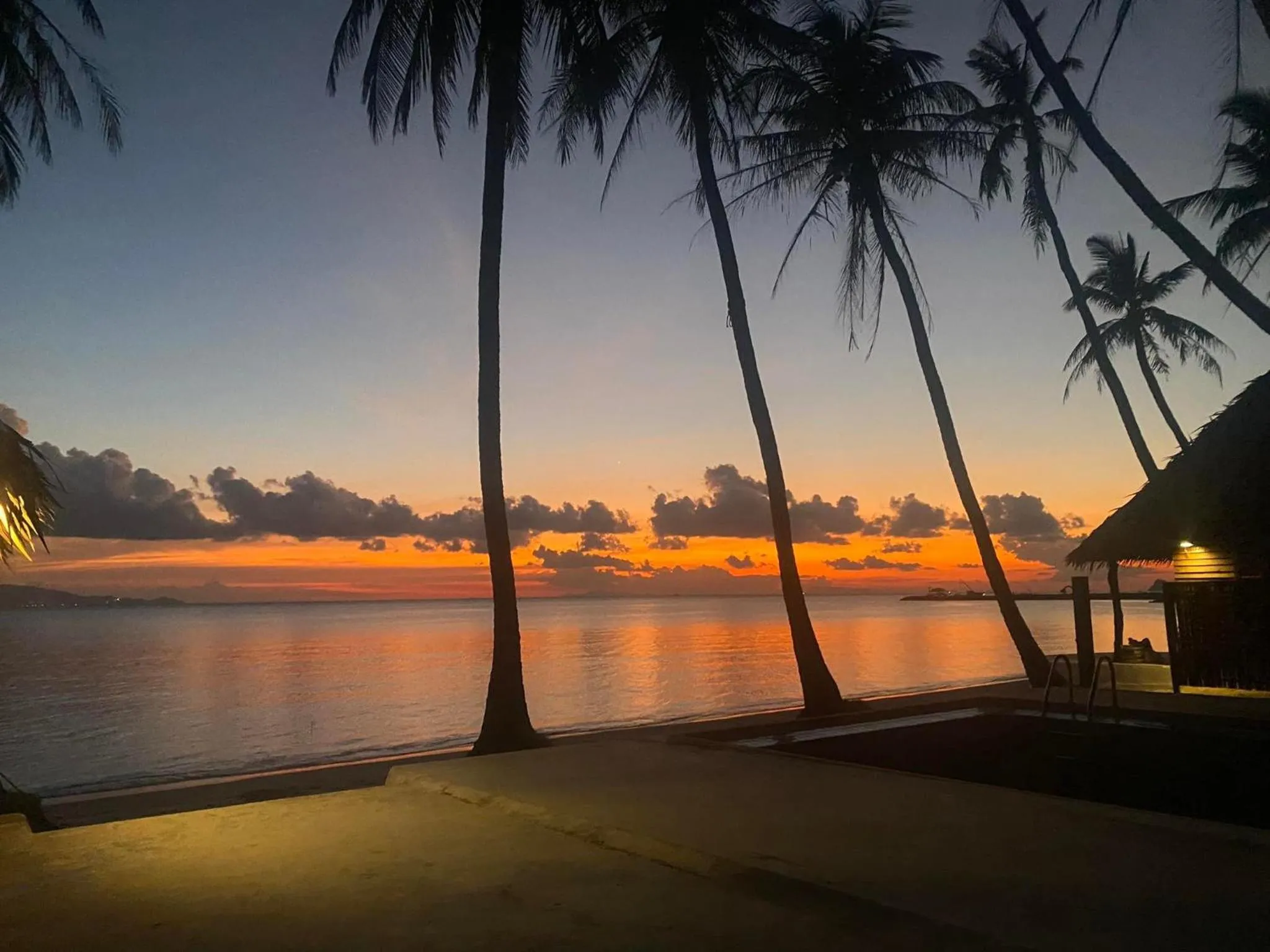 Wild Wood x Hansa Beach Fitness Resort