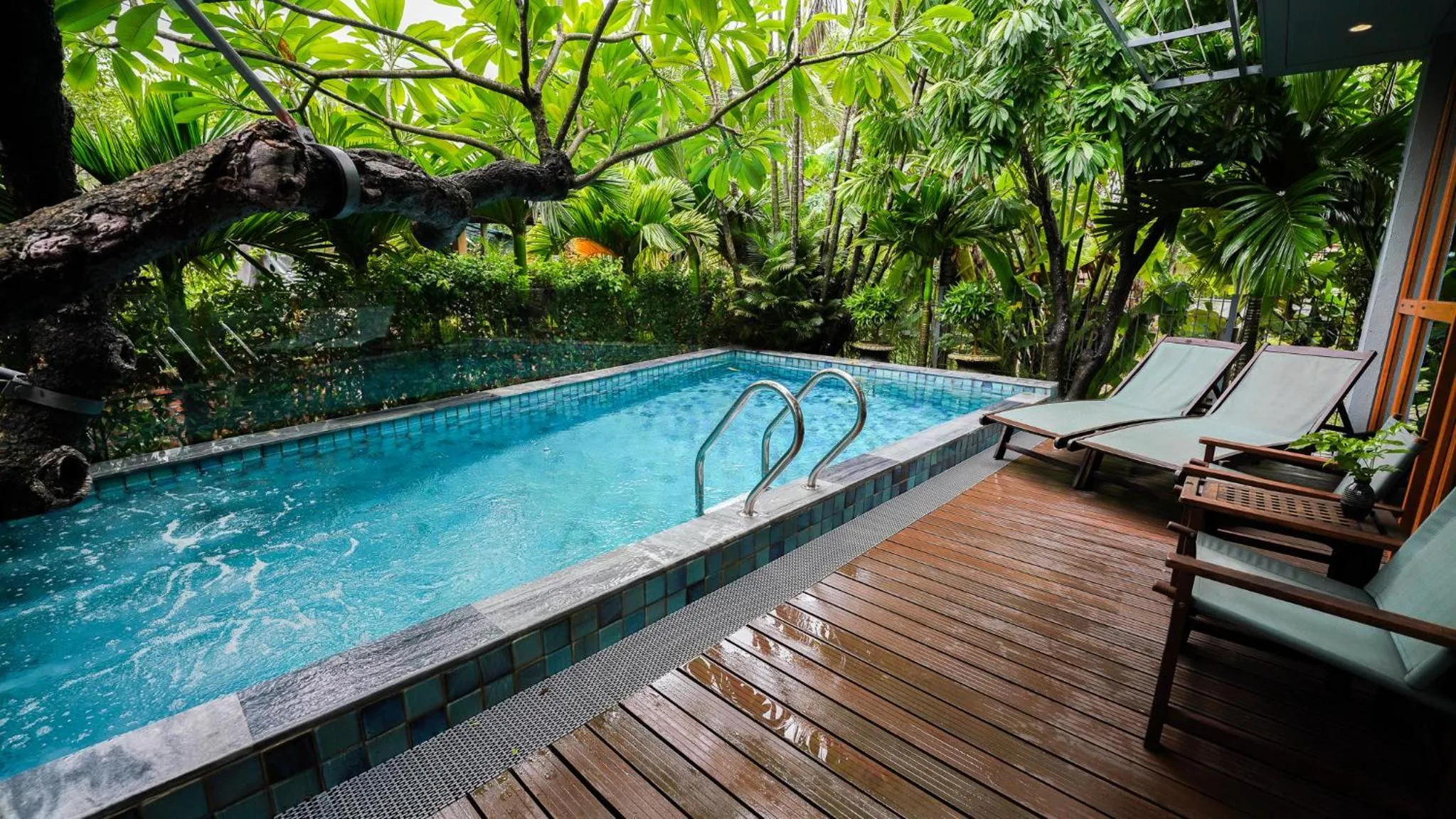 Natural landscape in CHiEM HoiAn - The Beachside Boutique Hotel & Villa