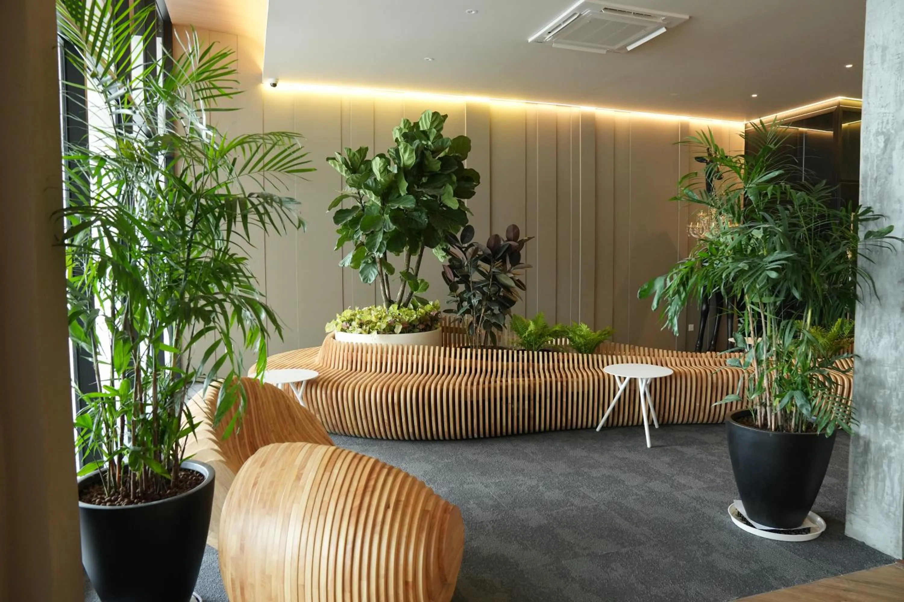 Seating area in Roxy Hotel Aiman