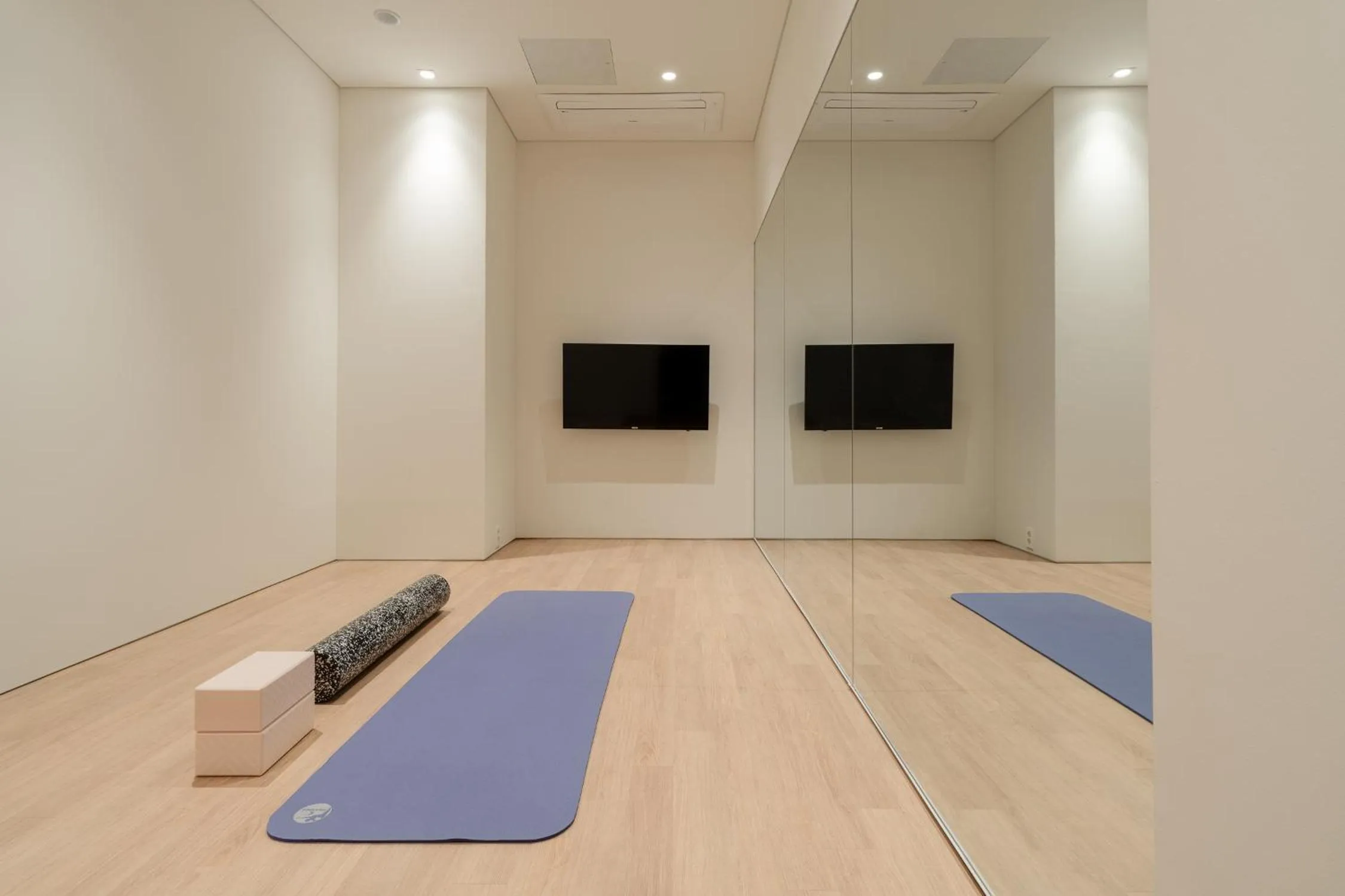 Activities in Mangrove Dongdaemun