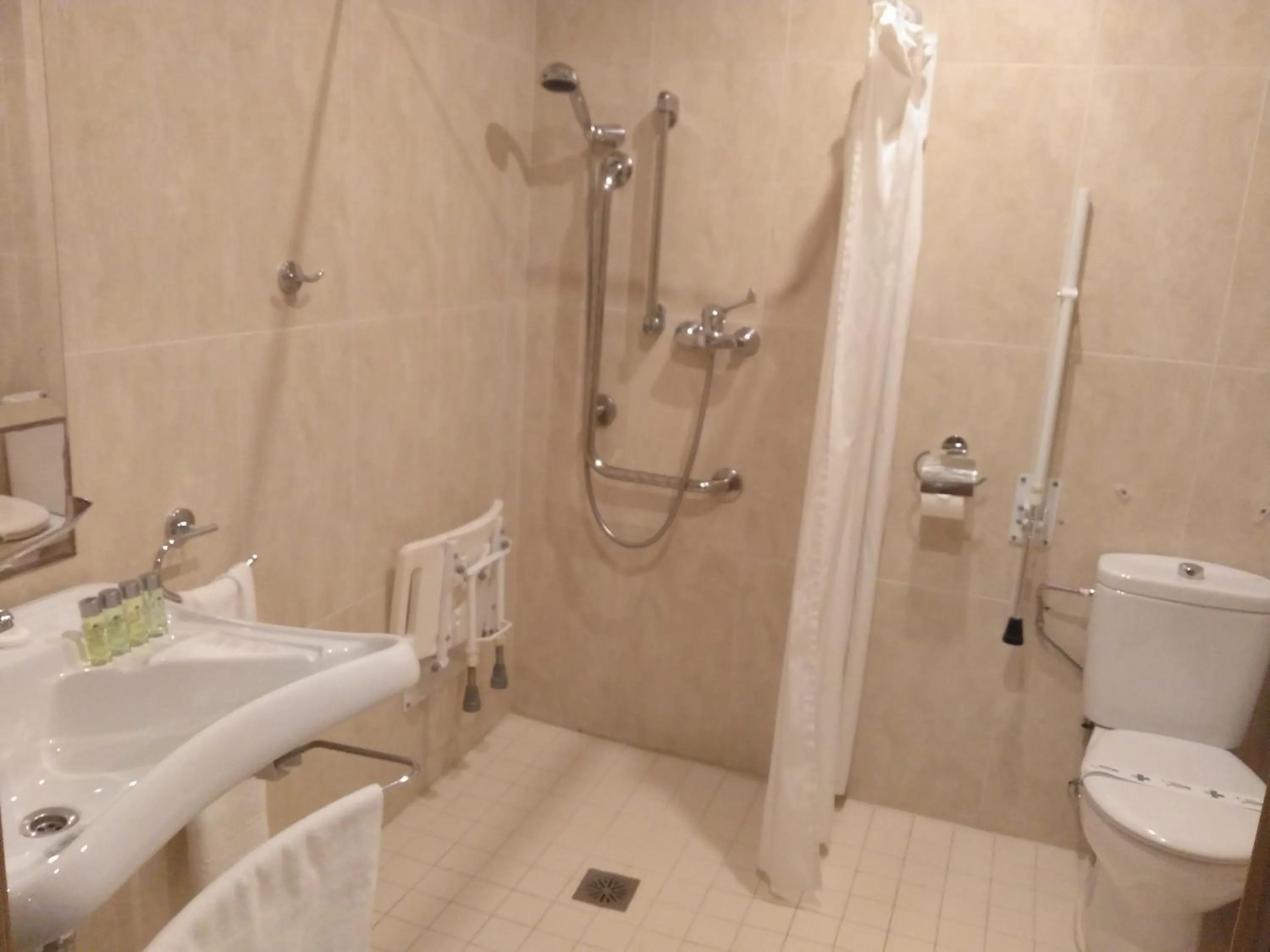 Facility for disabled guests in Hotel La Boroña