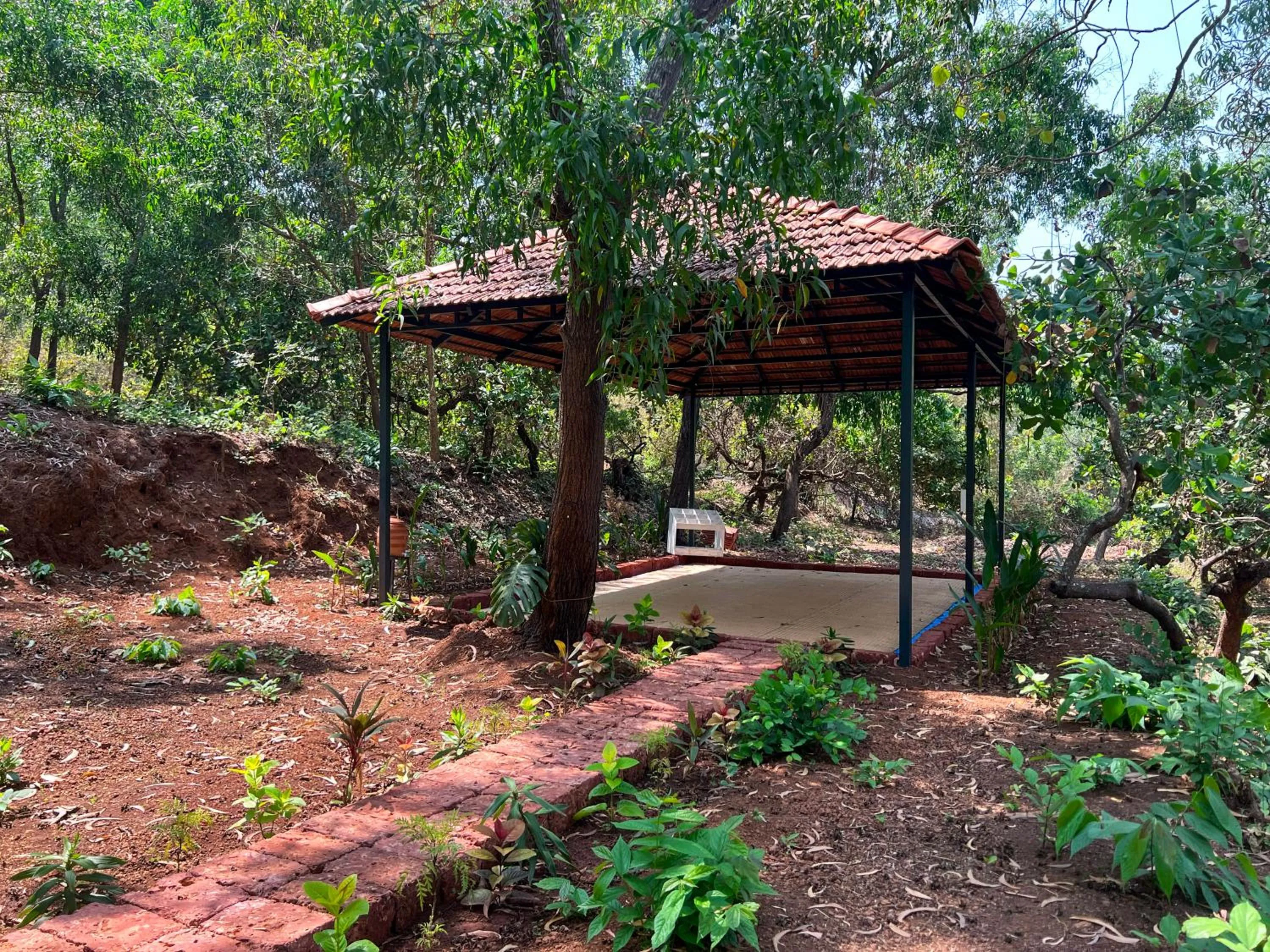 Activities in Habitus Resort