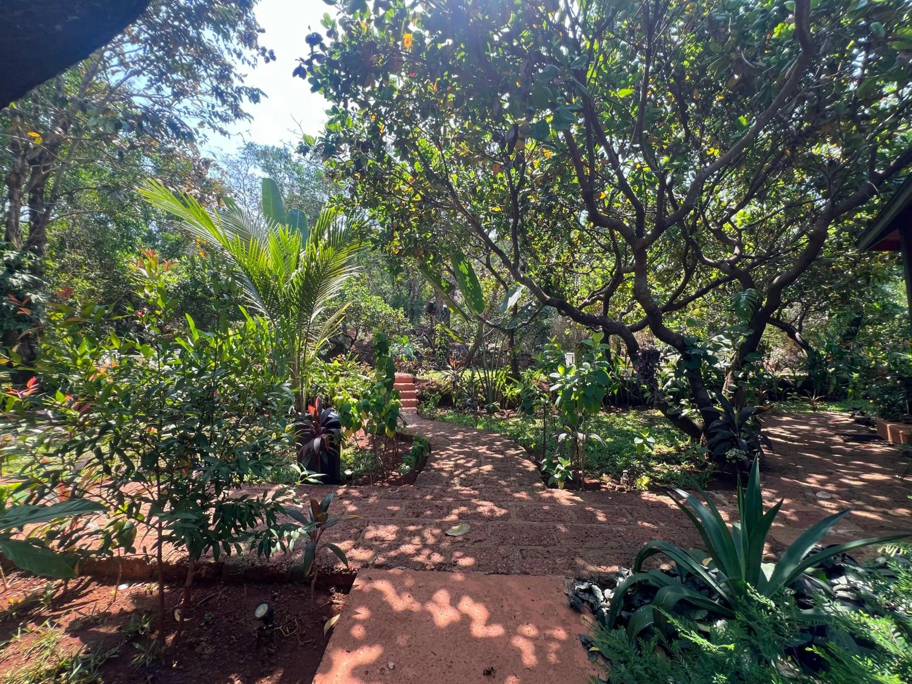 Garden in Habitus Resort