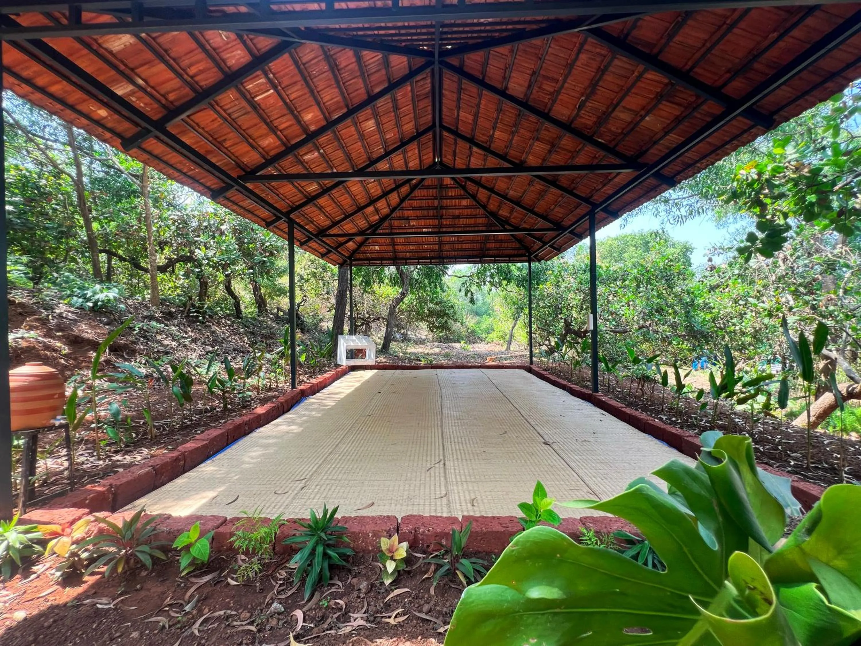 Activities in Habitus Resort