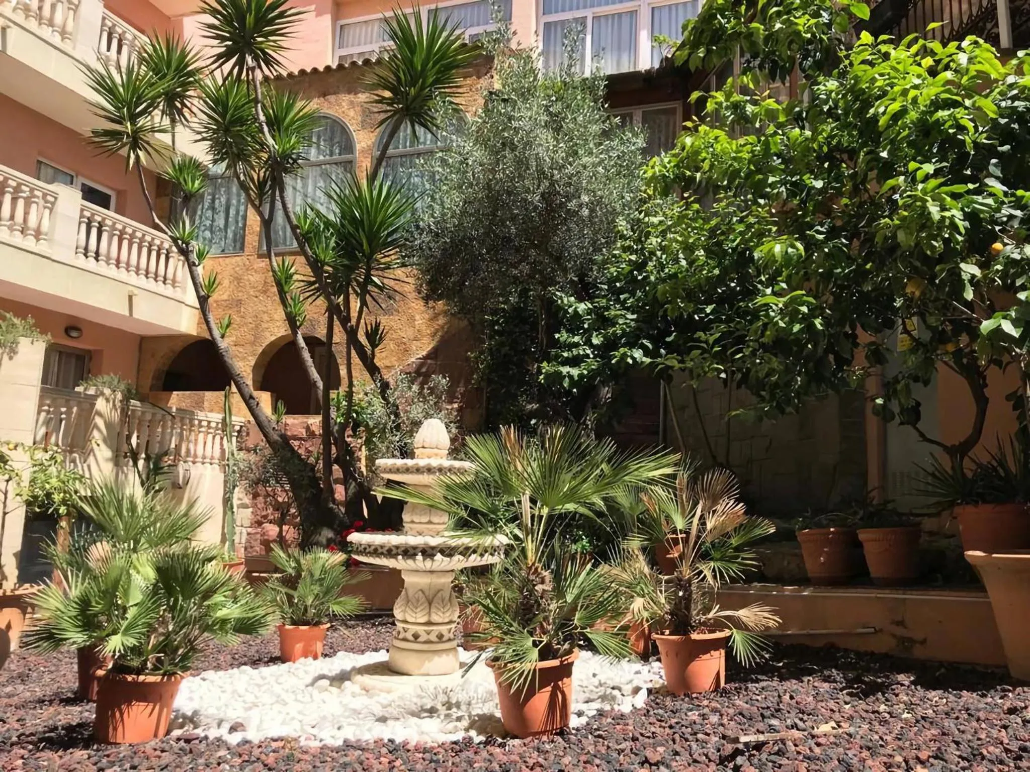 Garden in Hotel Alba Seleqtta