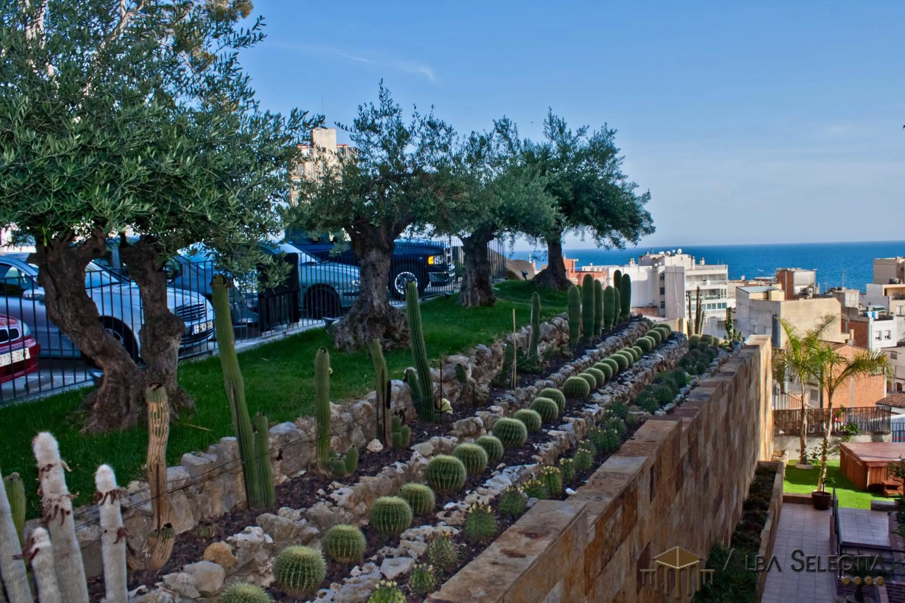 Garden in Hotel Alba Seleqtta