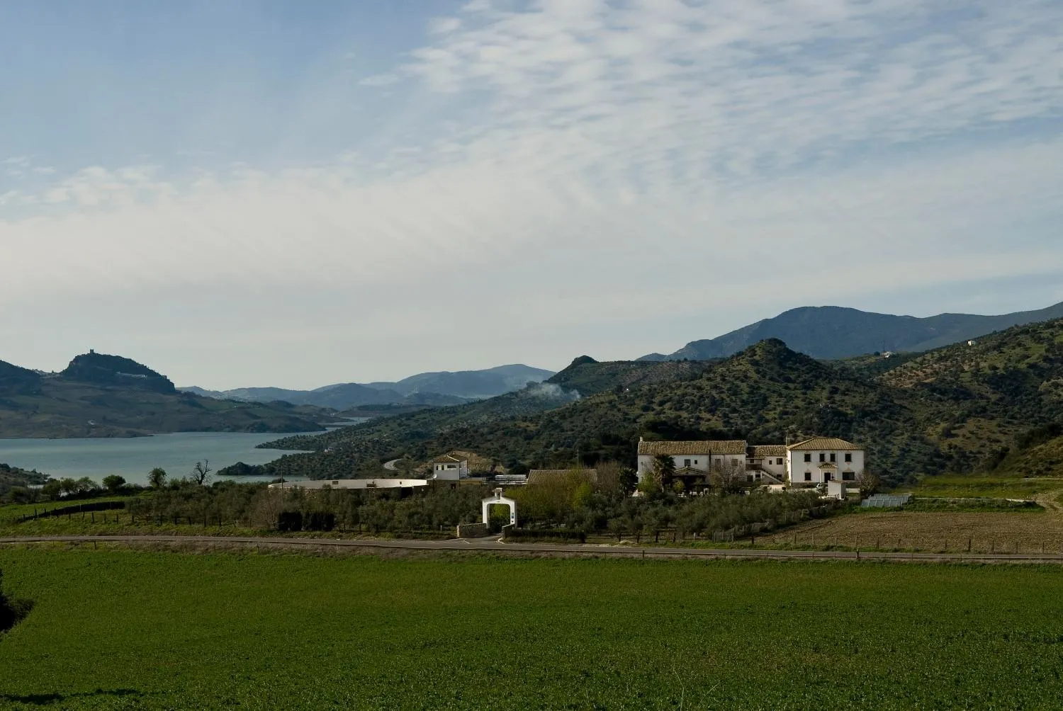 Neighbourhood in Cortijo Salinas