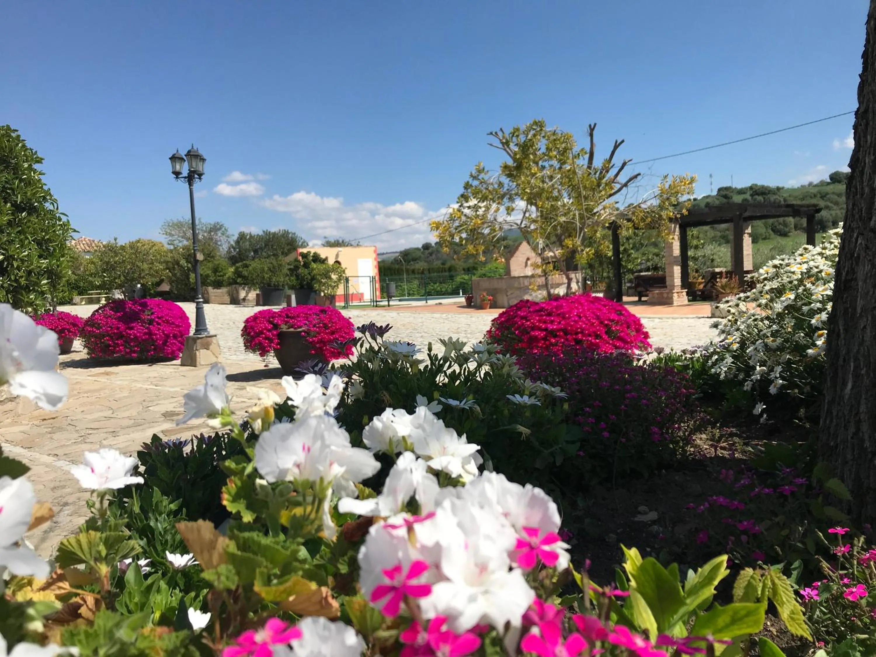 Activities in Cortijo Salinas