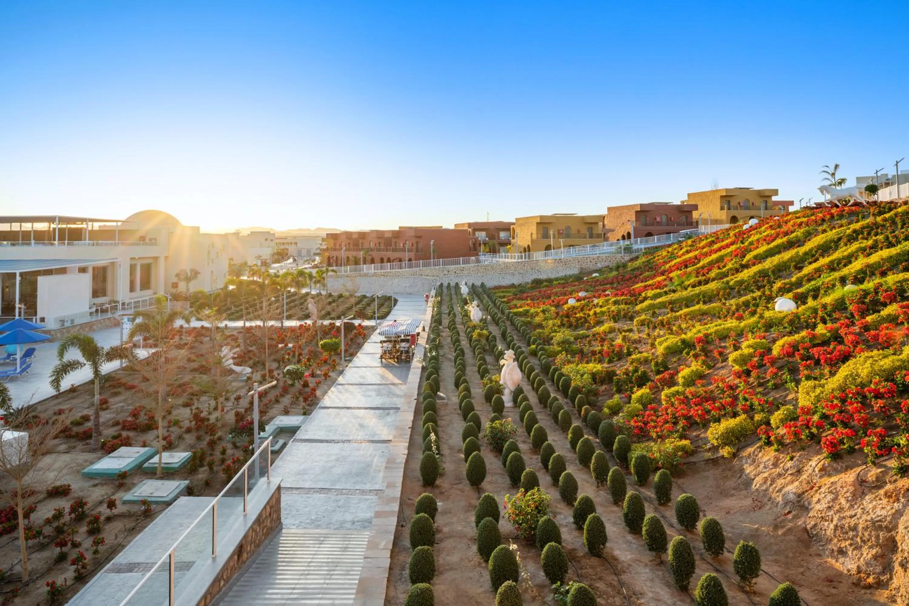 Natural landscape in Pickalbatros Villaggio Aqua Park - Portofino Marsa Alam