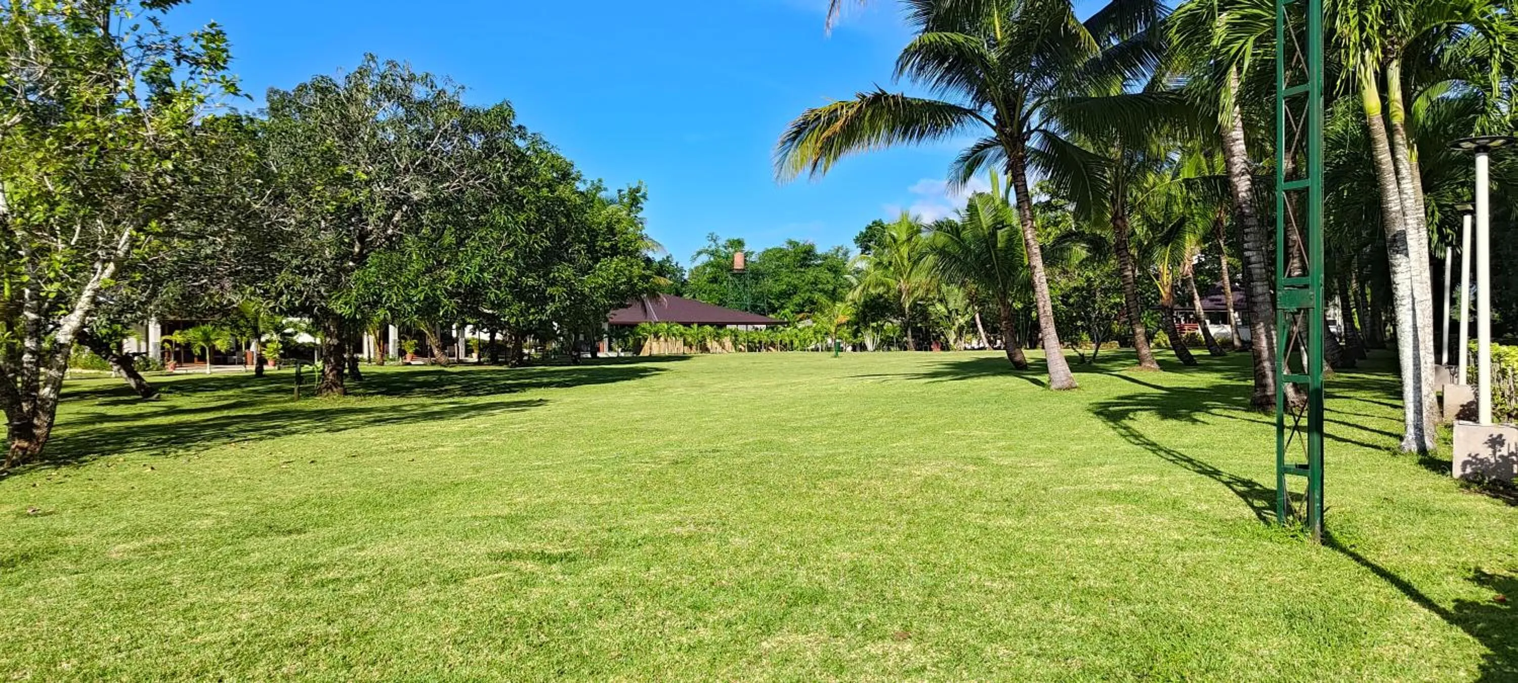 Garden in Denika's Suites