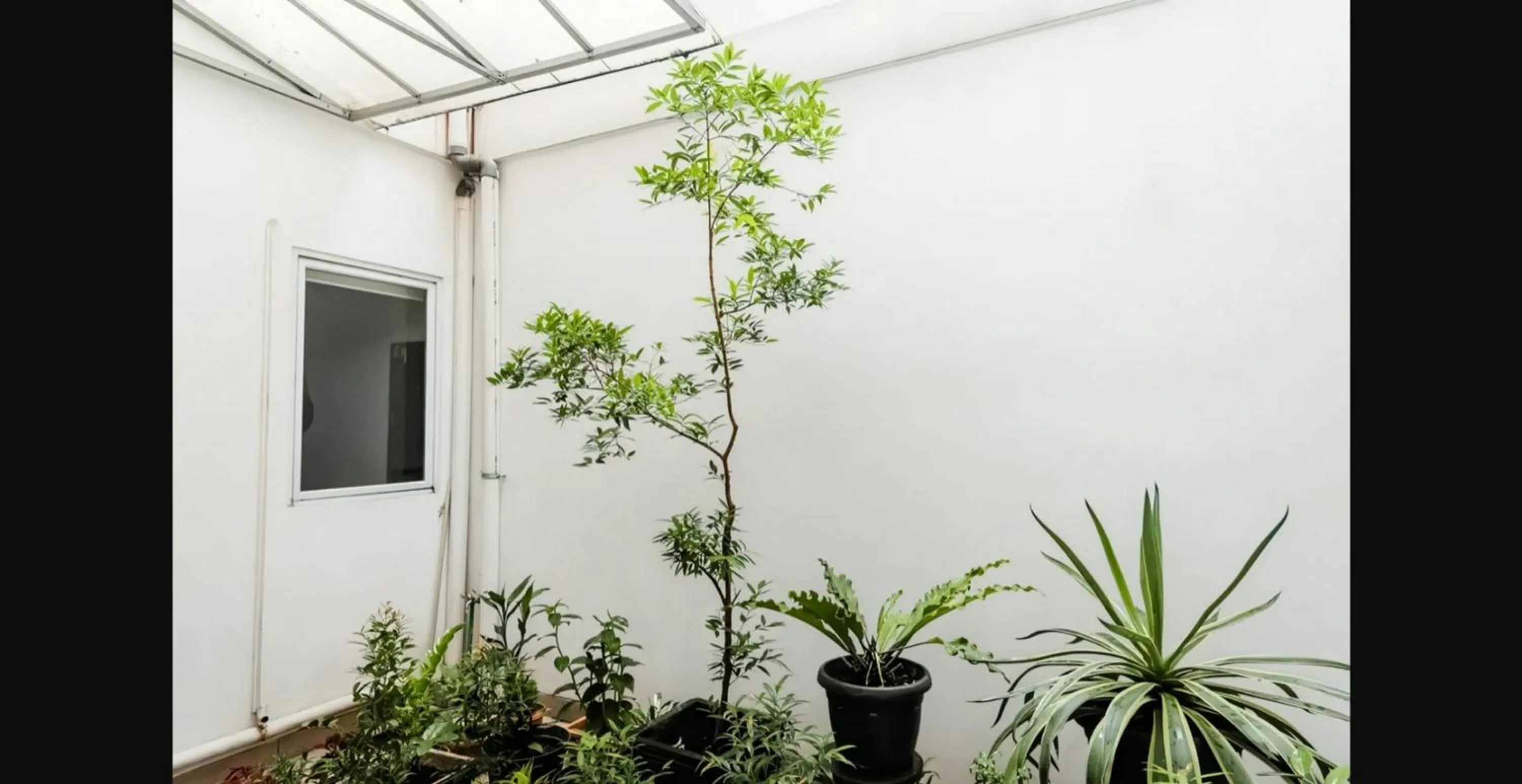 Garden in Mutiara Kostel @ Bintaro - Pondok Aren