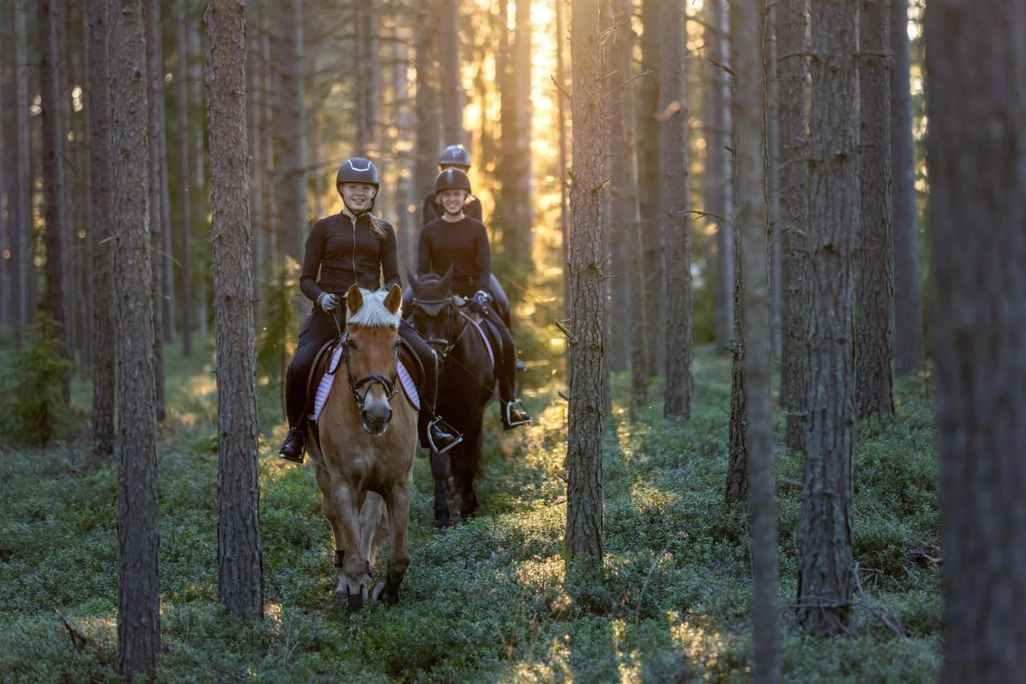 Horse-riding in Sandy Kelt - Irish House Apartments