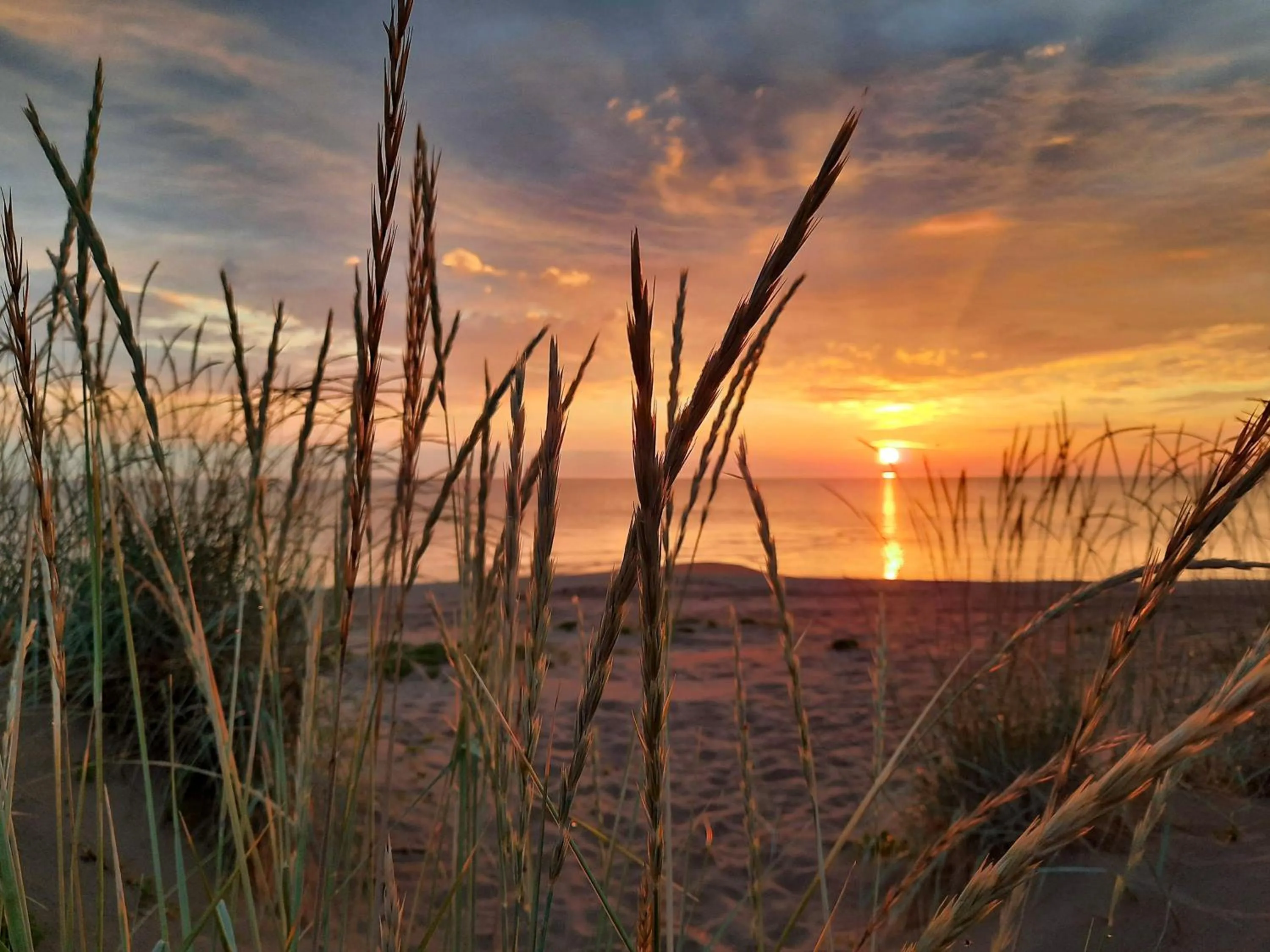 Sea view in Sandy Kelt - Irish House Apartments