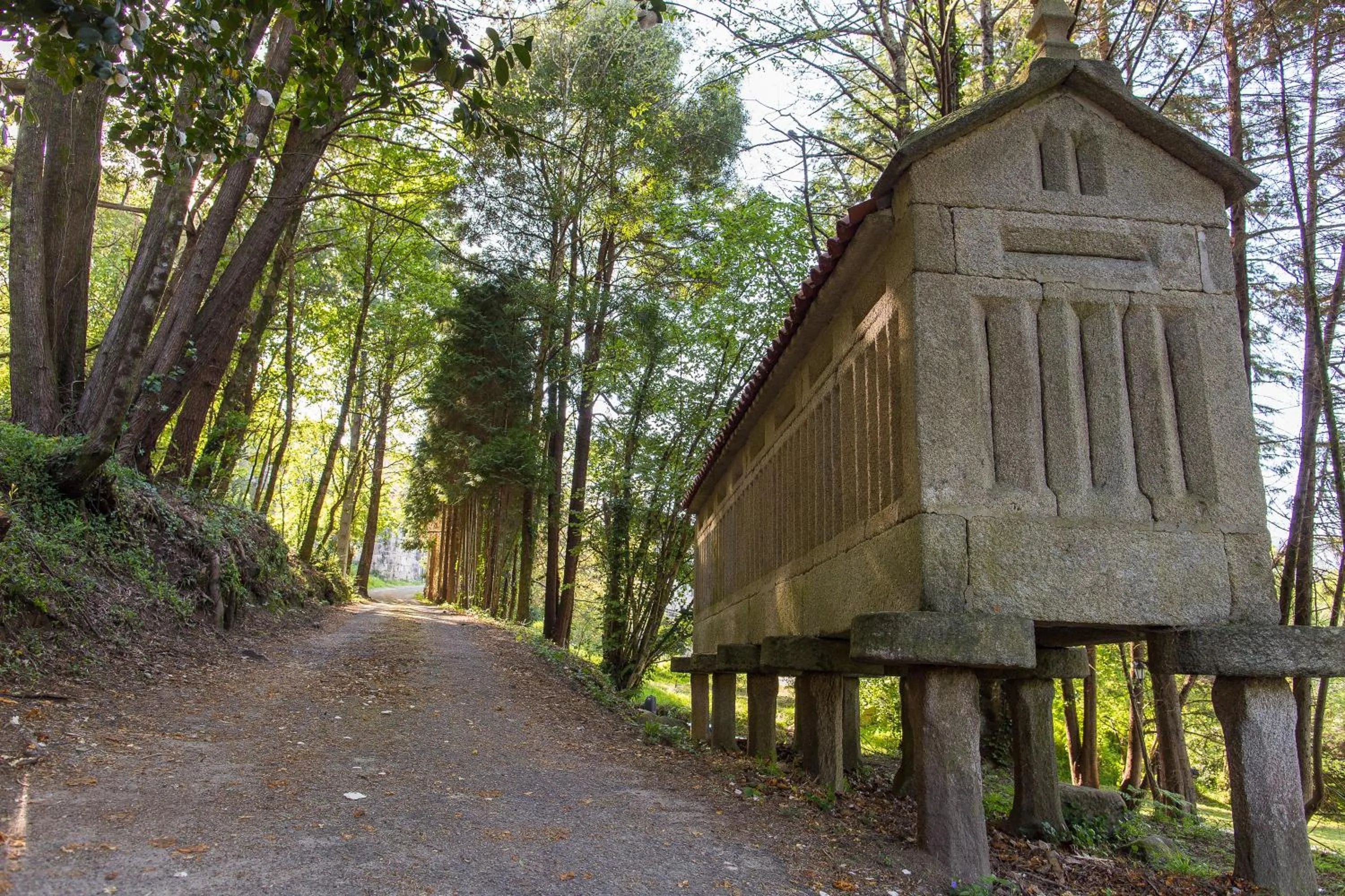 Natural landscape in Pazo Larache