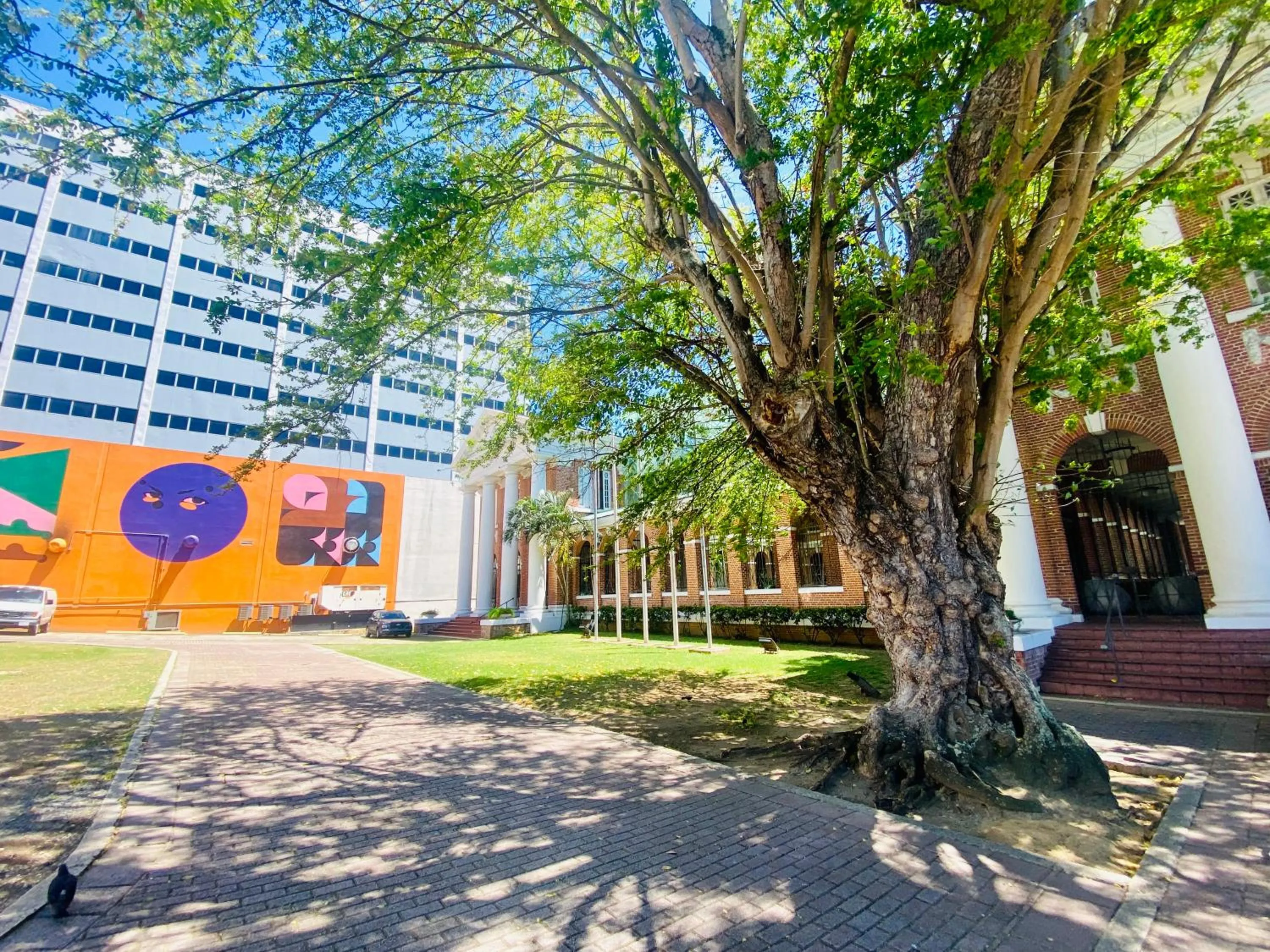 City view in La Calma Poshtel