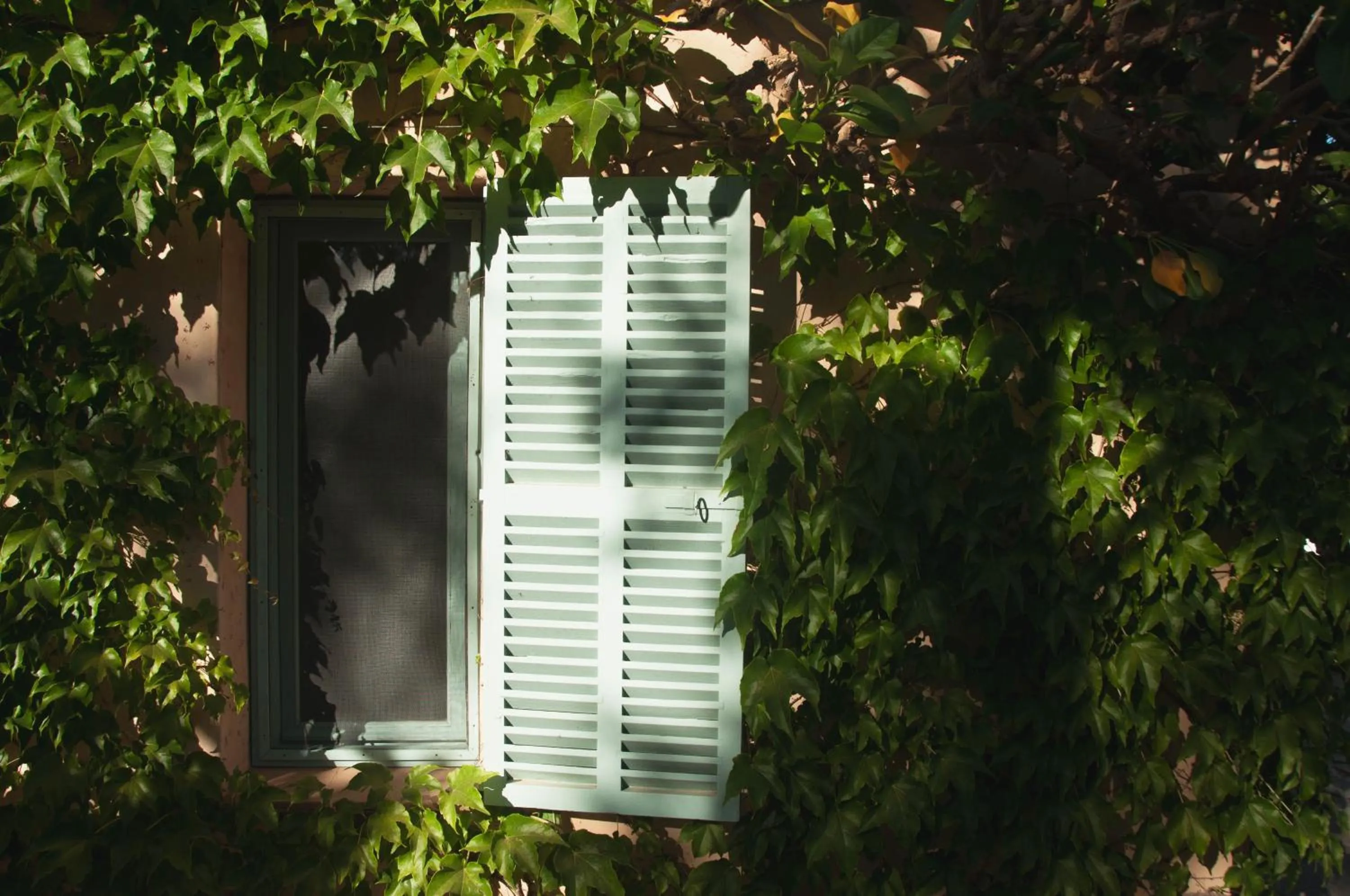 Garden in Reserva Rotana Golf Resort