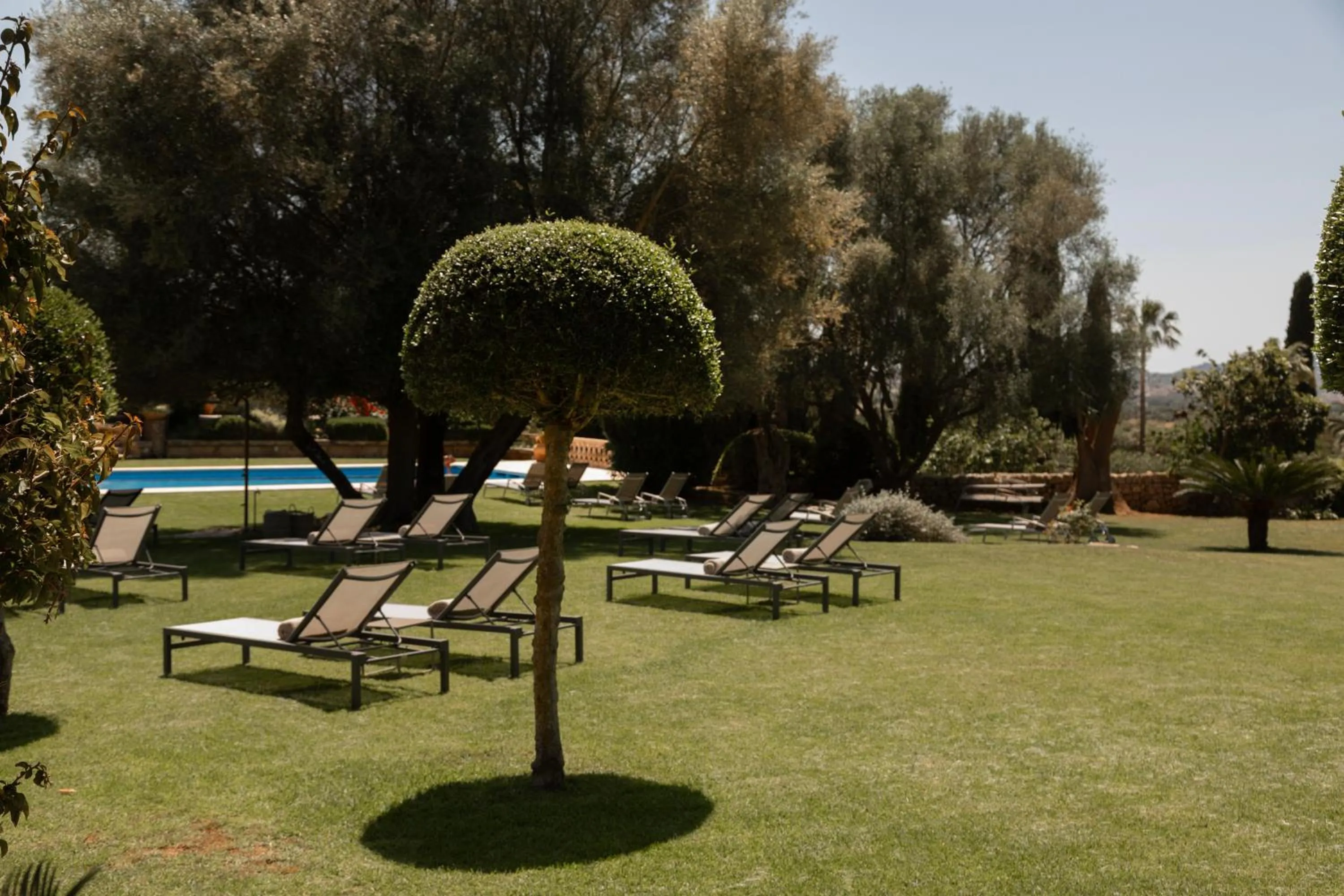 Pool view in Reserva Rotana Golf Resort