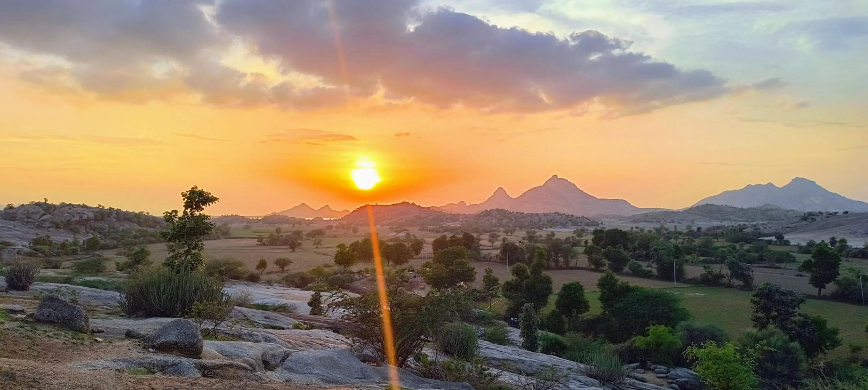 Jawai Leopard Villa