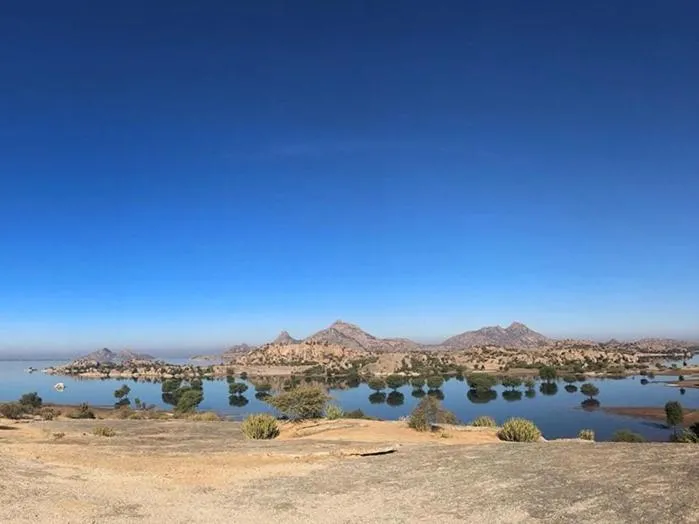 Jawai Leopard Villa