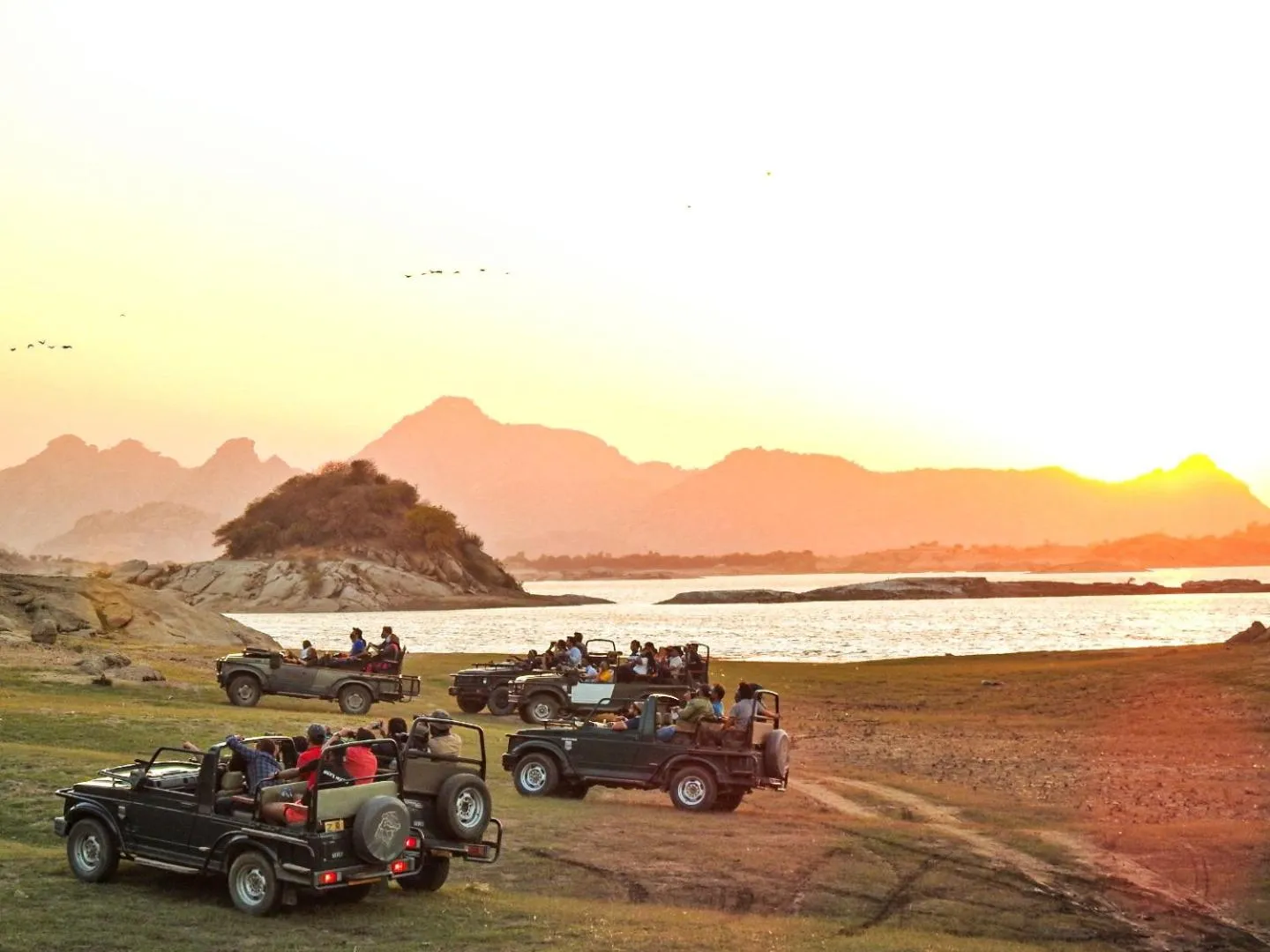 Jawai Leopard Villa