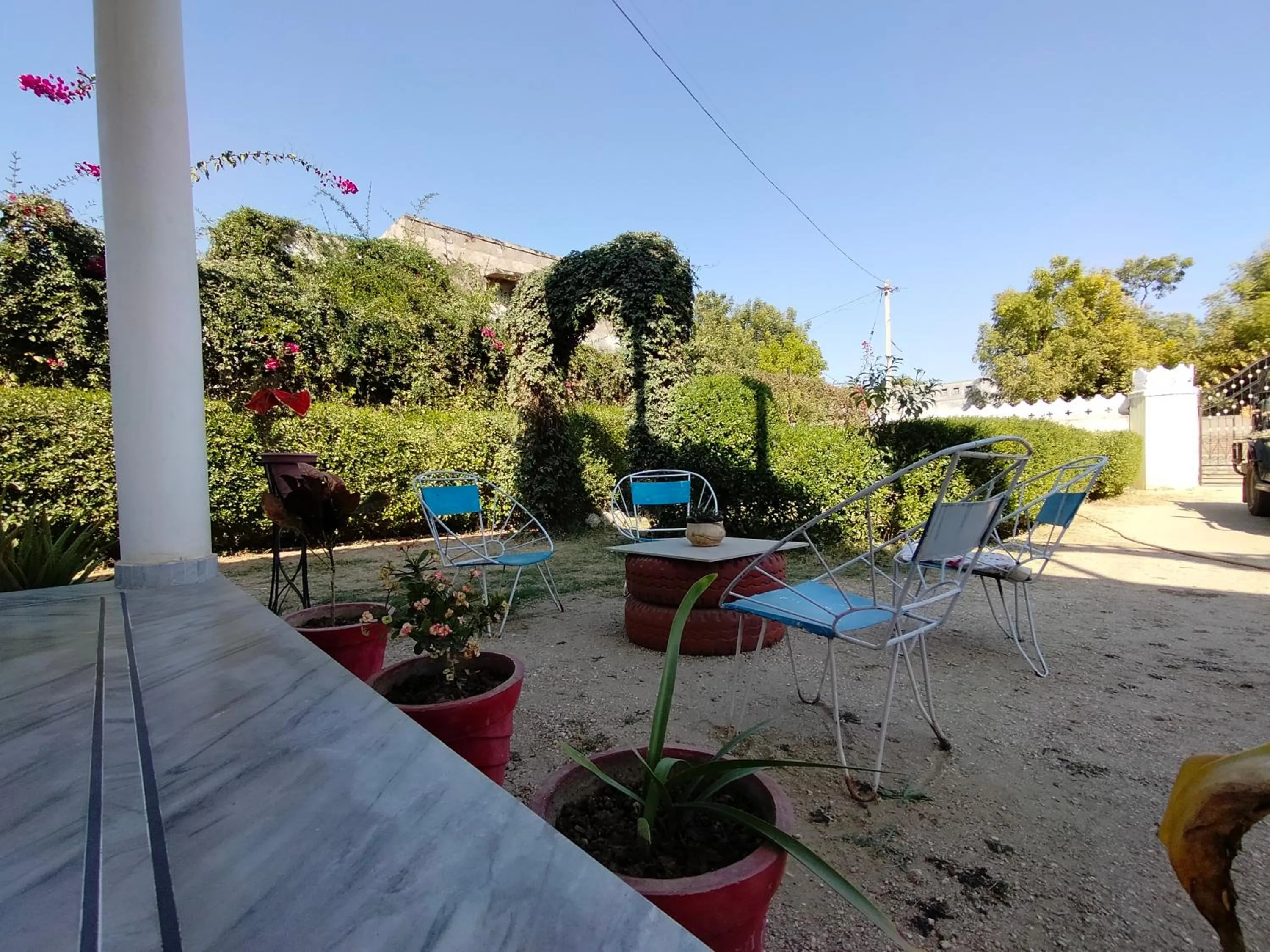 Garden in Jawai Leopard Villa