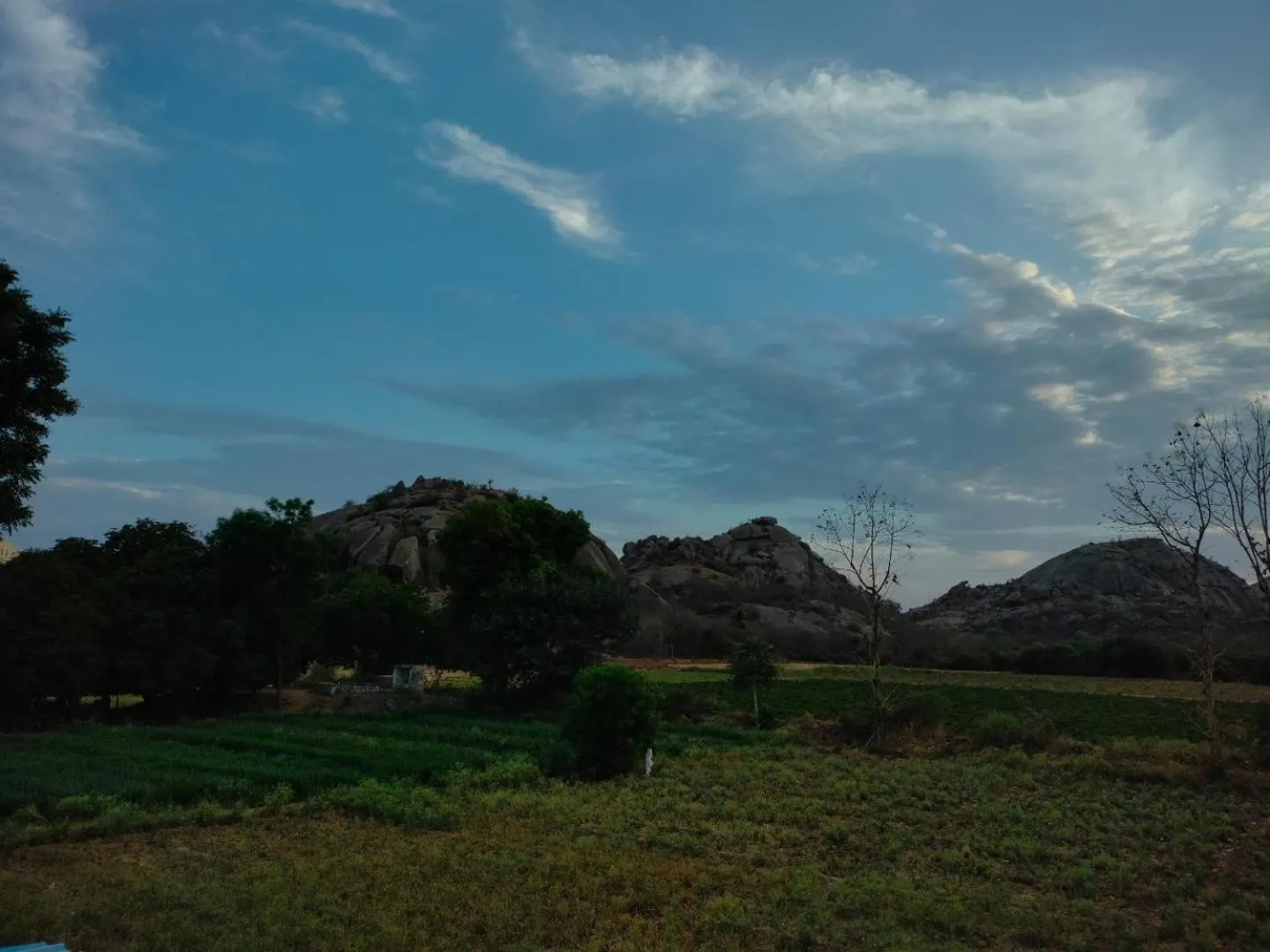 Balcony/Terrace in Jawai Leopard Villa