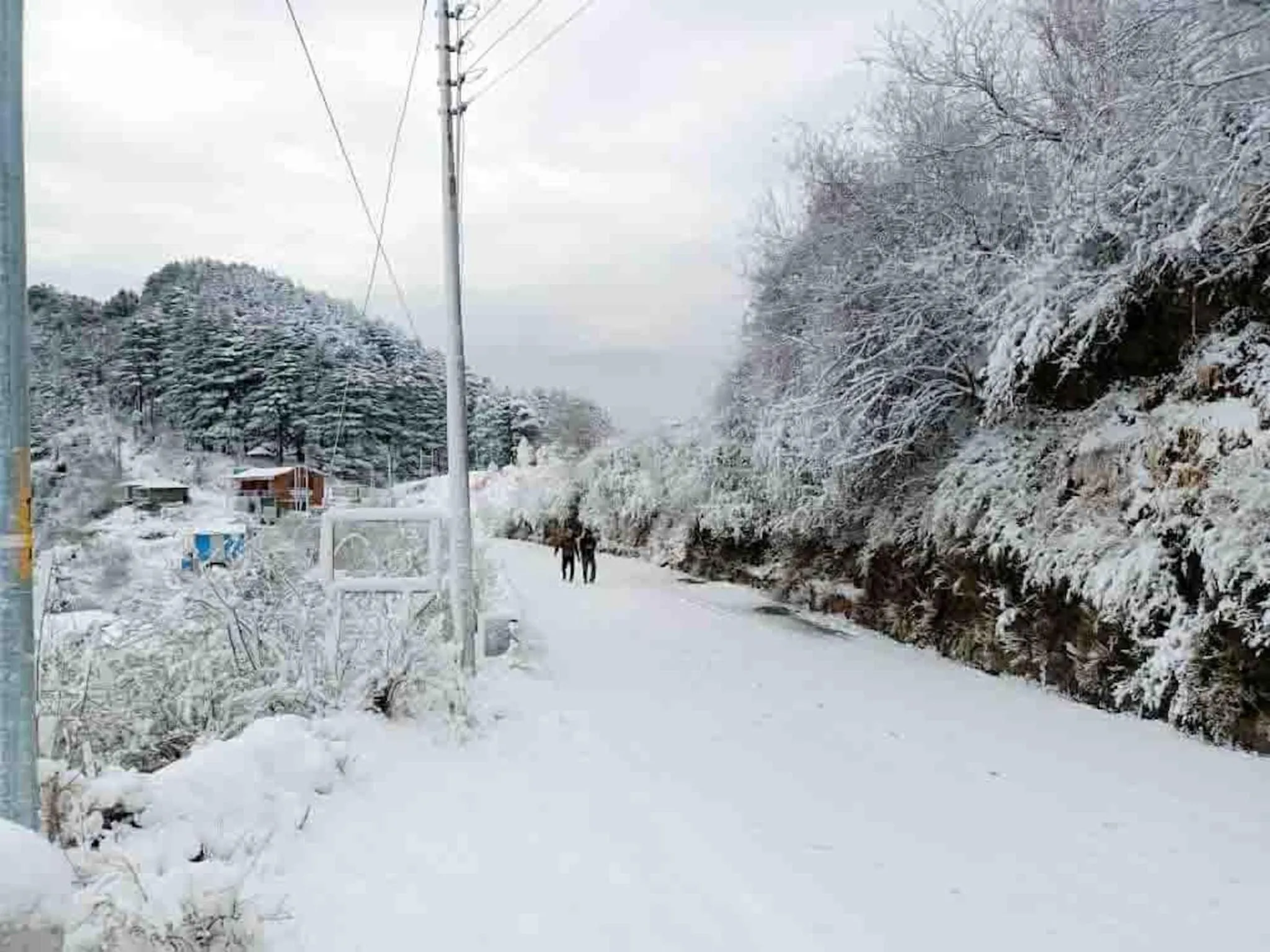 Mountain view in LA Riqueza Dhanolti View - Mountain View Rooms - Near to Eco Park & Surkanda Devi Temple