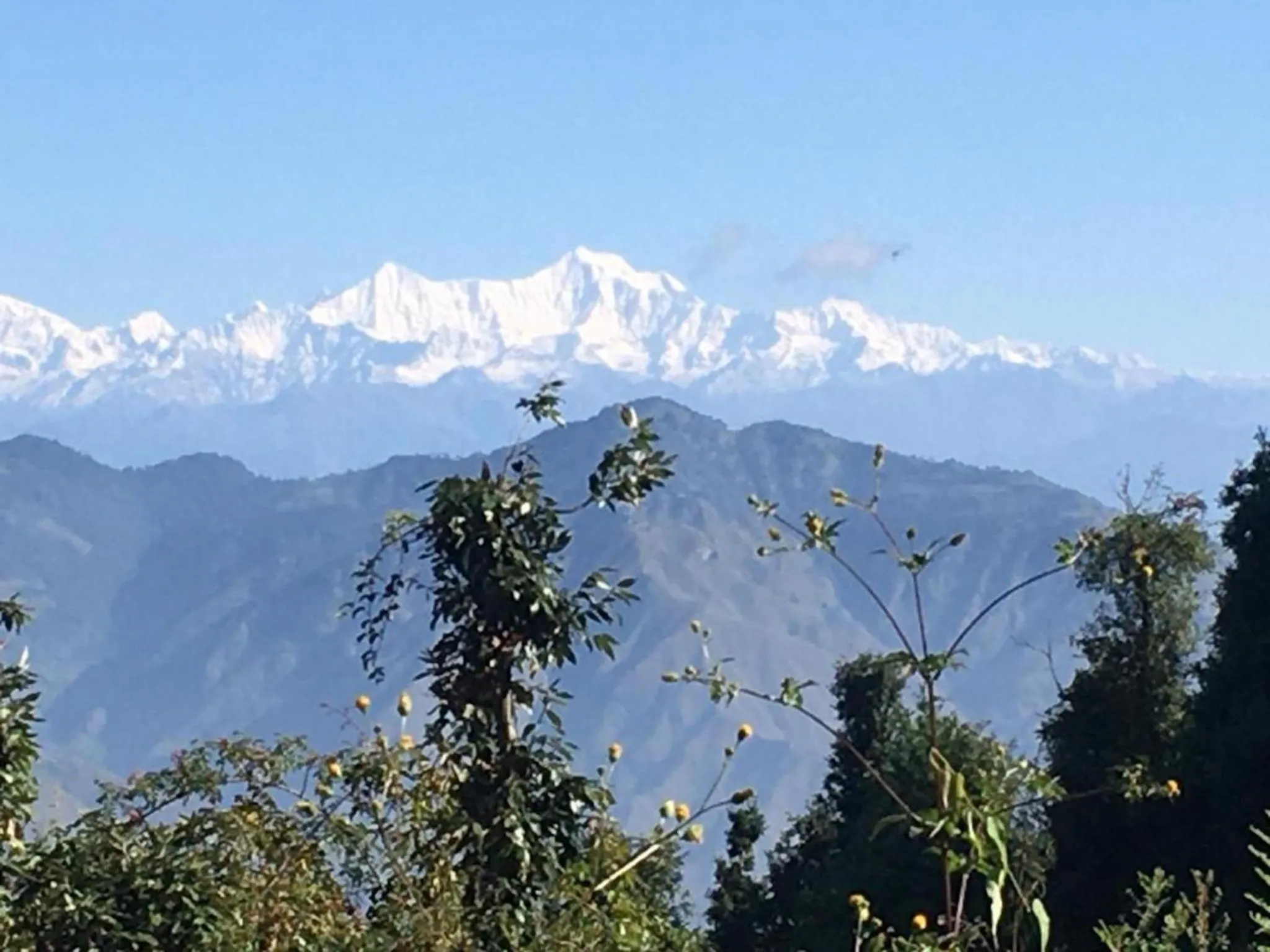 Natural landscape in LA Riqueza Dhanolti View - Mountain View Rooms - Near to Eco Park & Surkanda Devi Temple