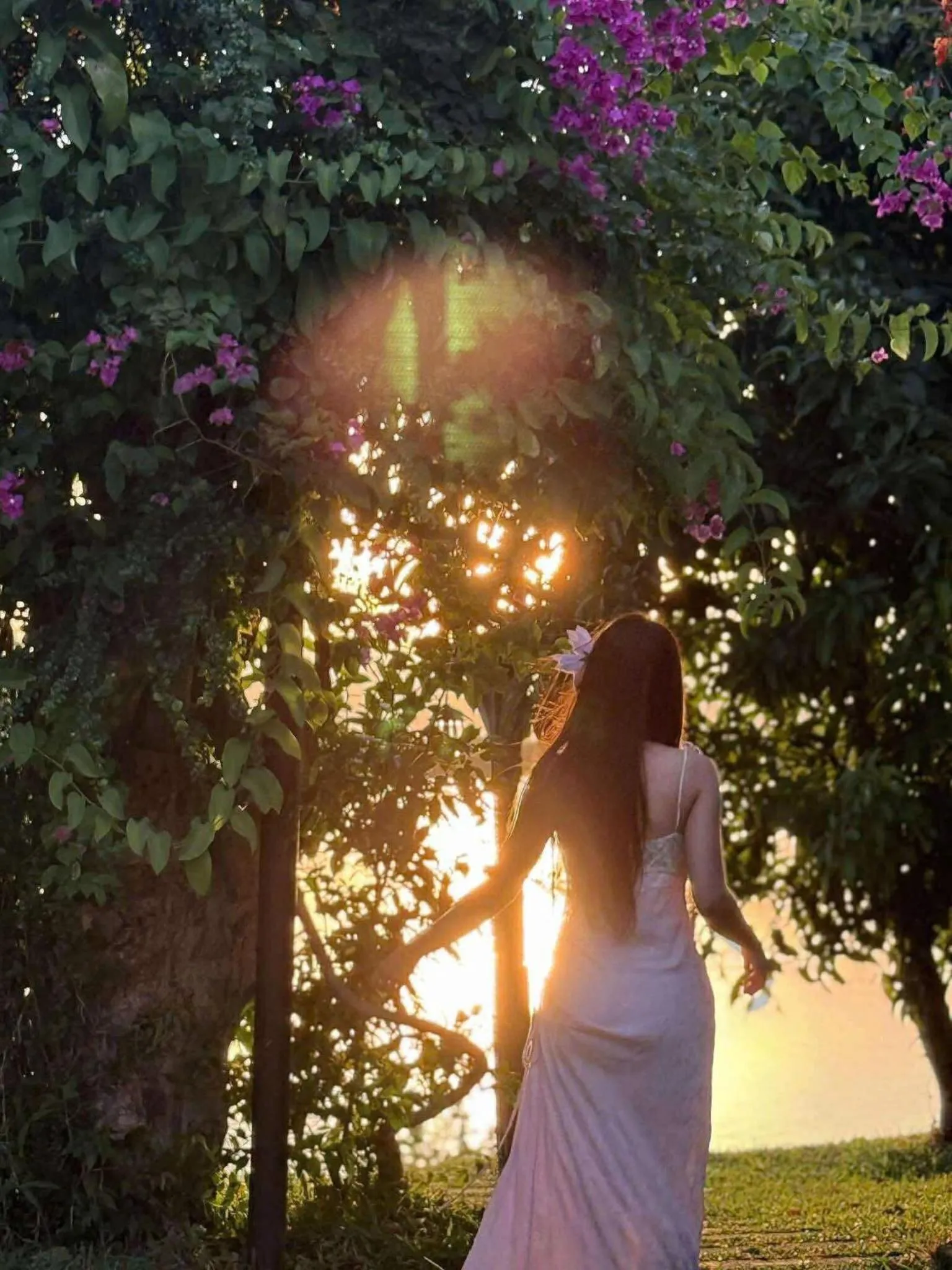 Patio in La Y Riverview