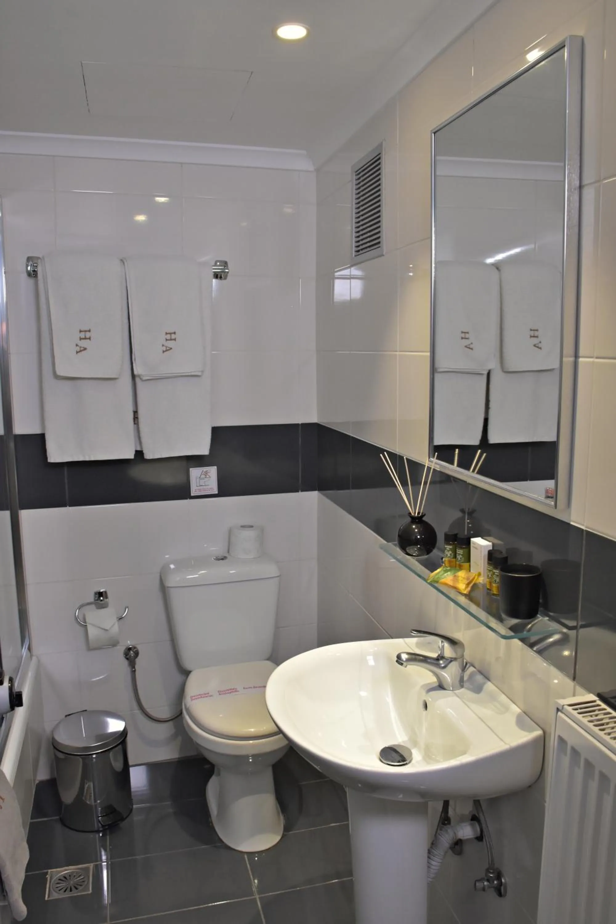 Toilet in Arethusa Hotel Athens