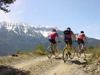 Apartamentos Solineu