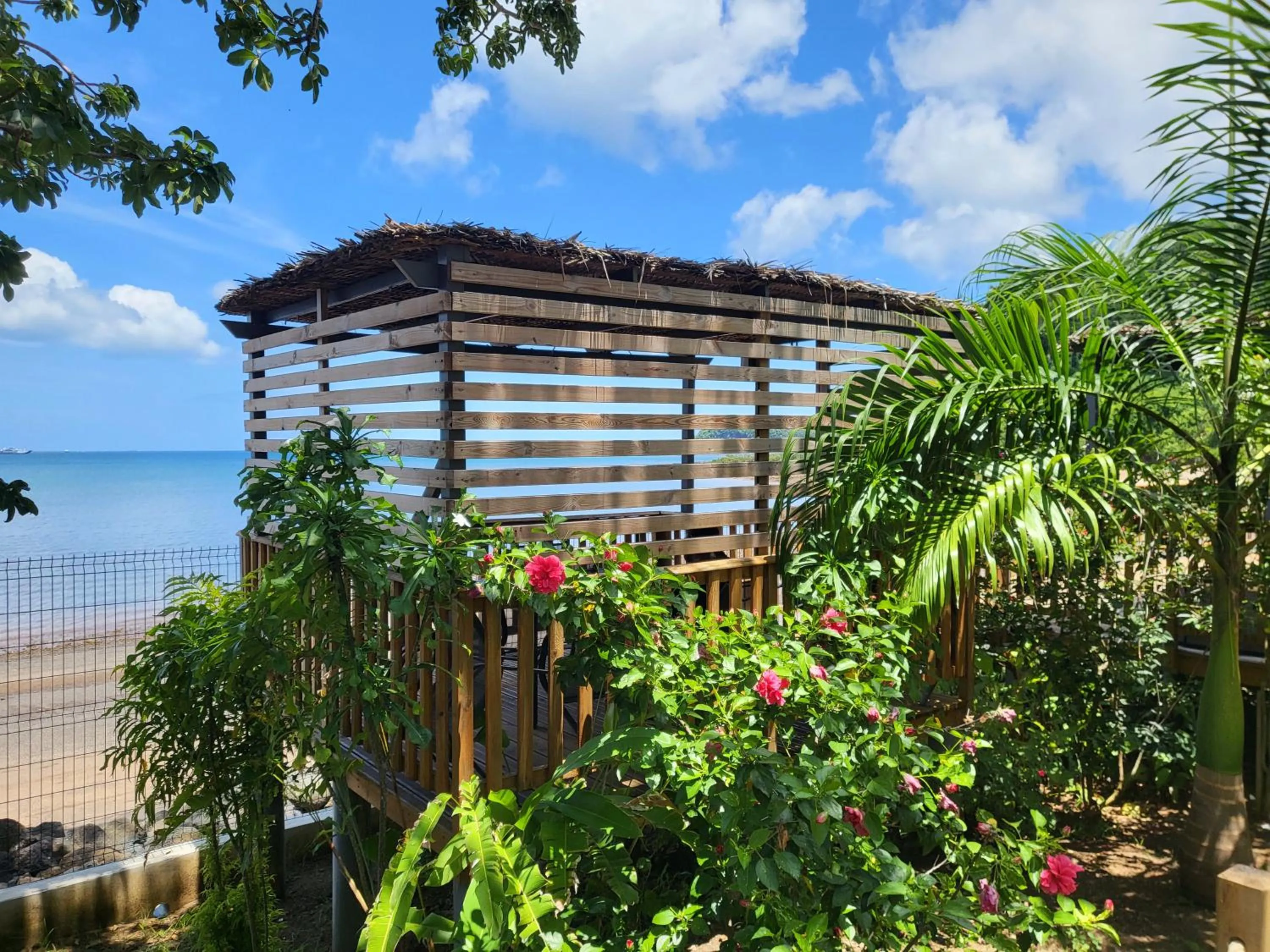 Beach in Hôtel Hamaha Beach