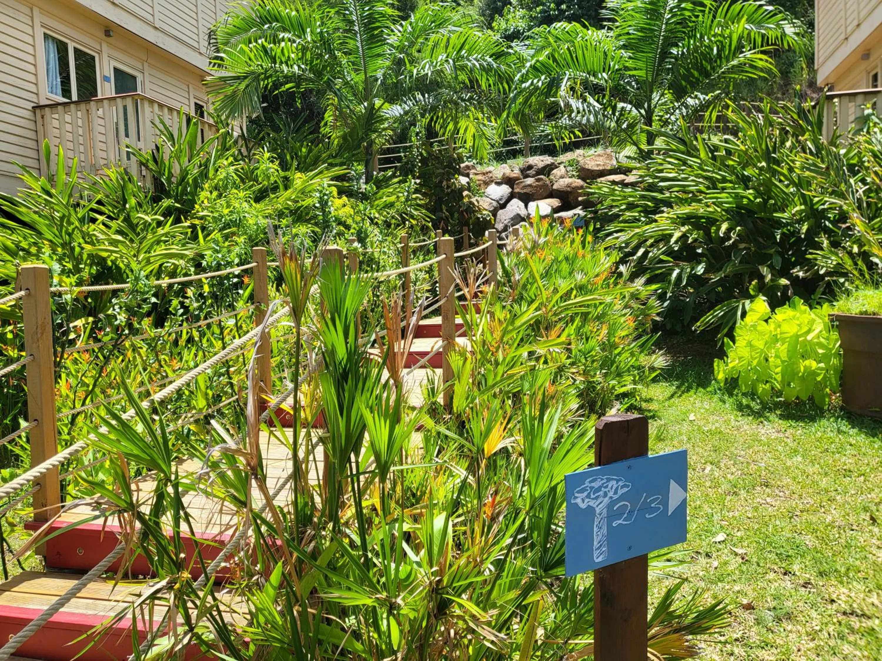 Garden view in Hôtel Hamaha Beach