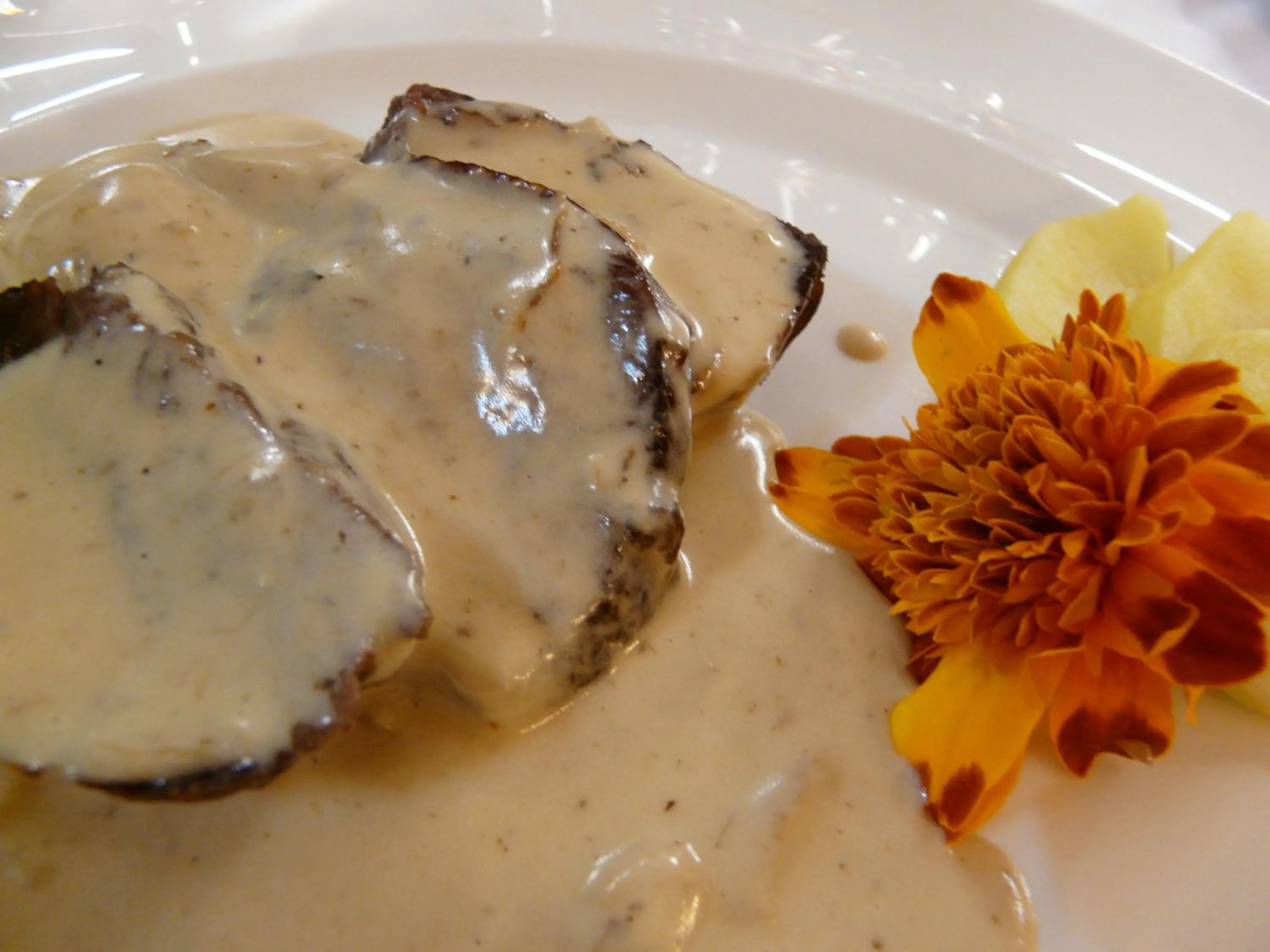 Food and drinks in Hotel Nice