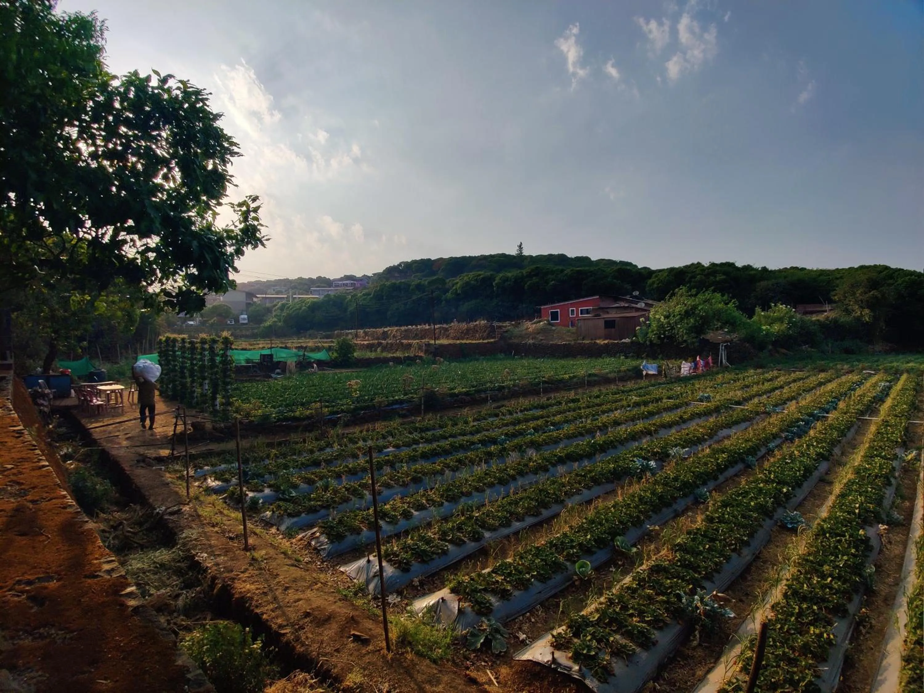 Sai Leela Bungalow - Villa with Private Pool