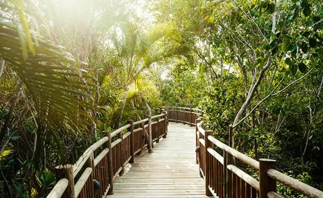 Resort Vidanta Riviera Maya