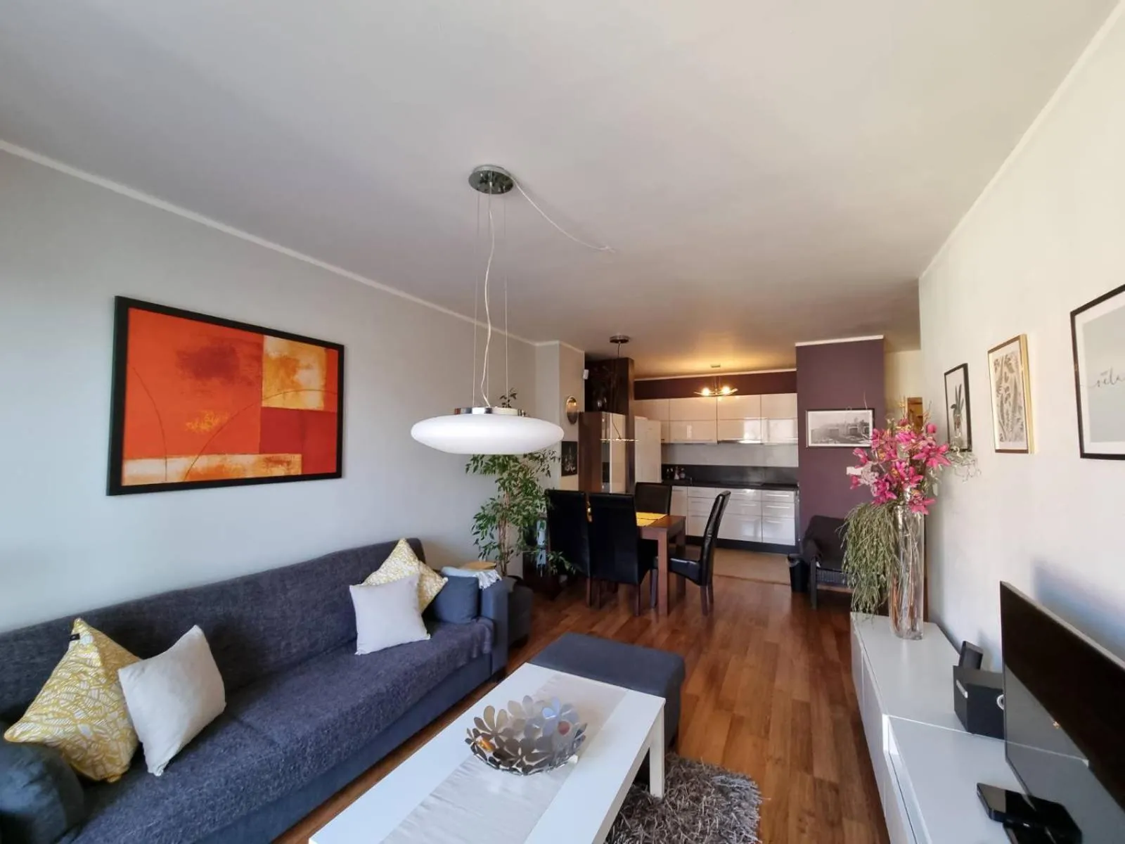 TV and multimedia in Central business apartment - FREE PARKING