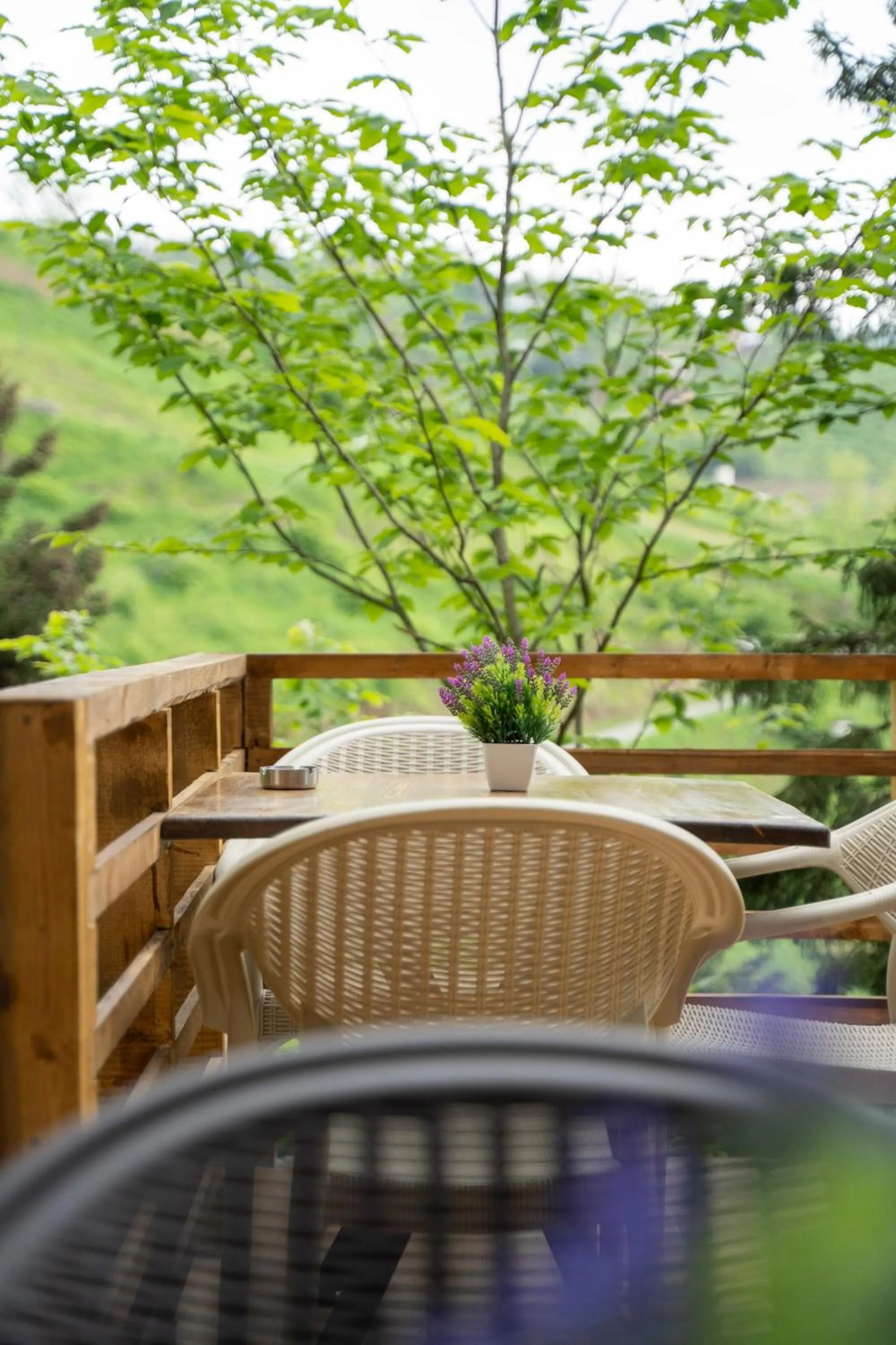 Restaurant/places to eat in Montana Suite Bungalows