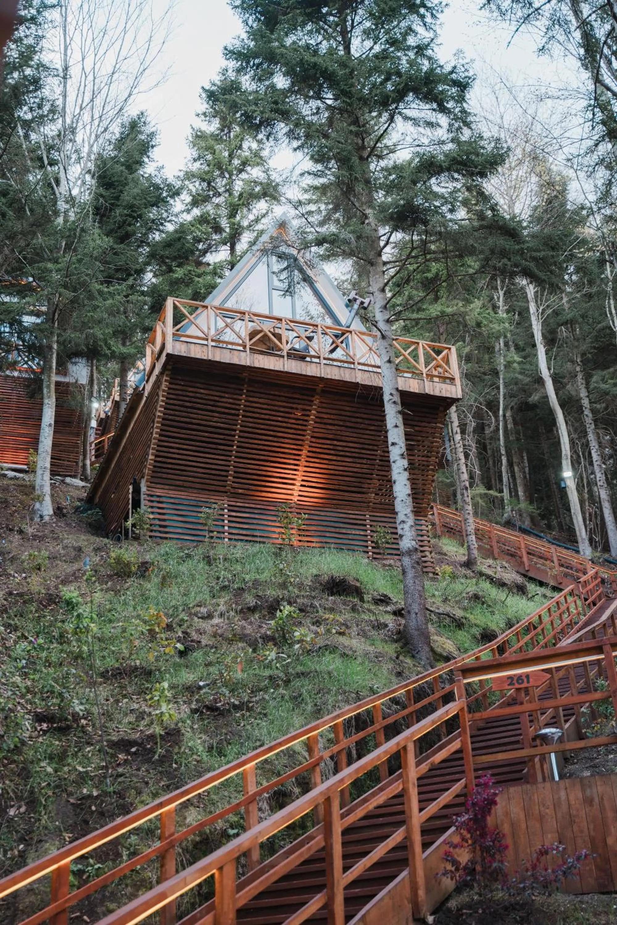 Natural landscape in Montana Suite Bungalows