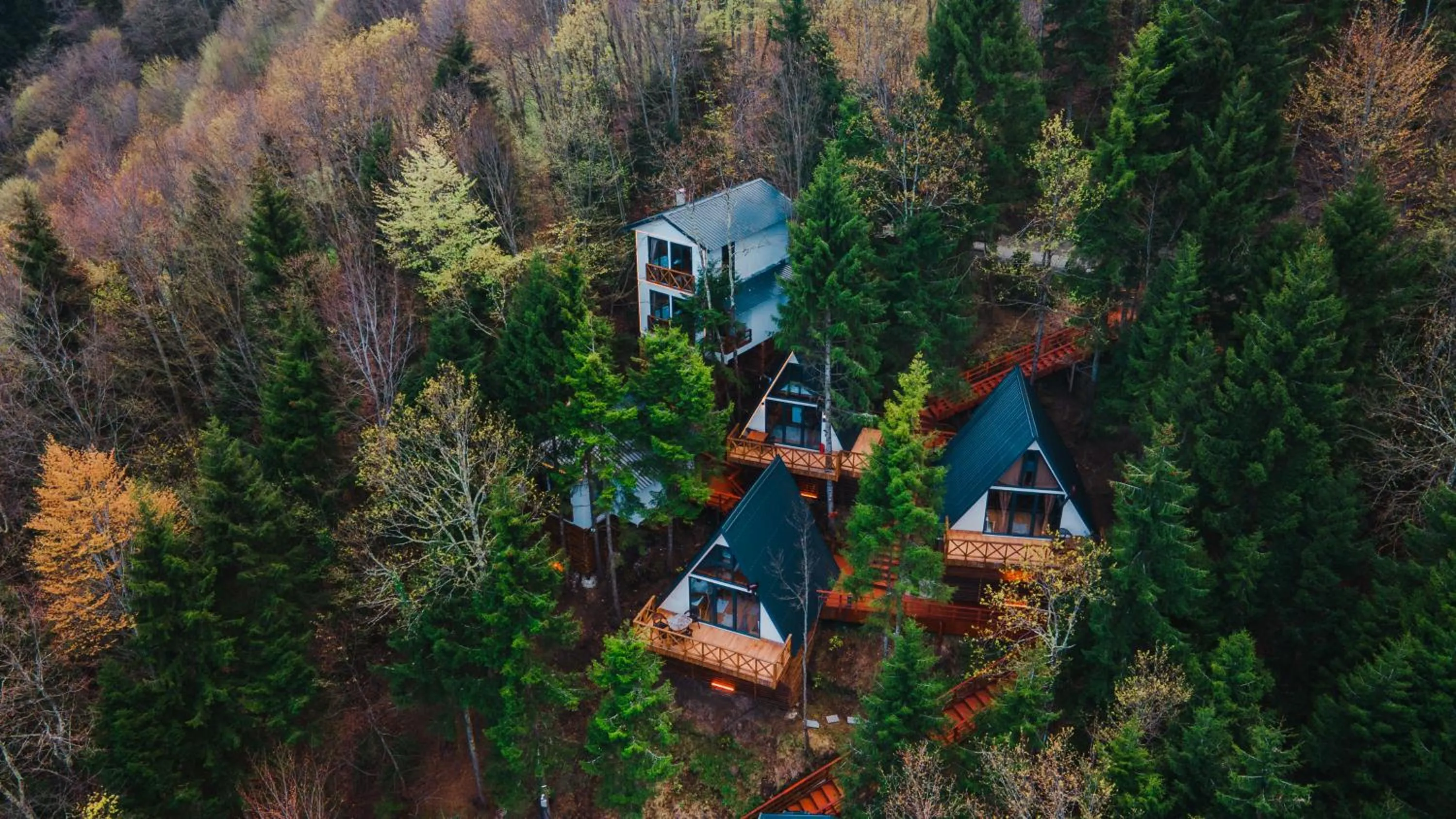 View (from property/room) in Montana Suite Bungalows