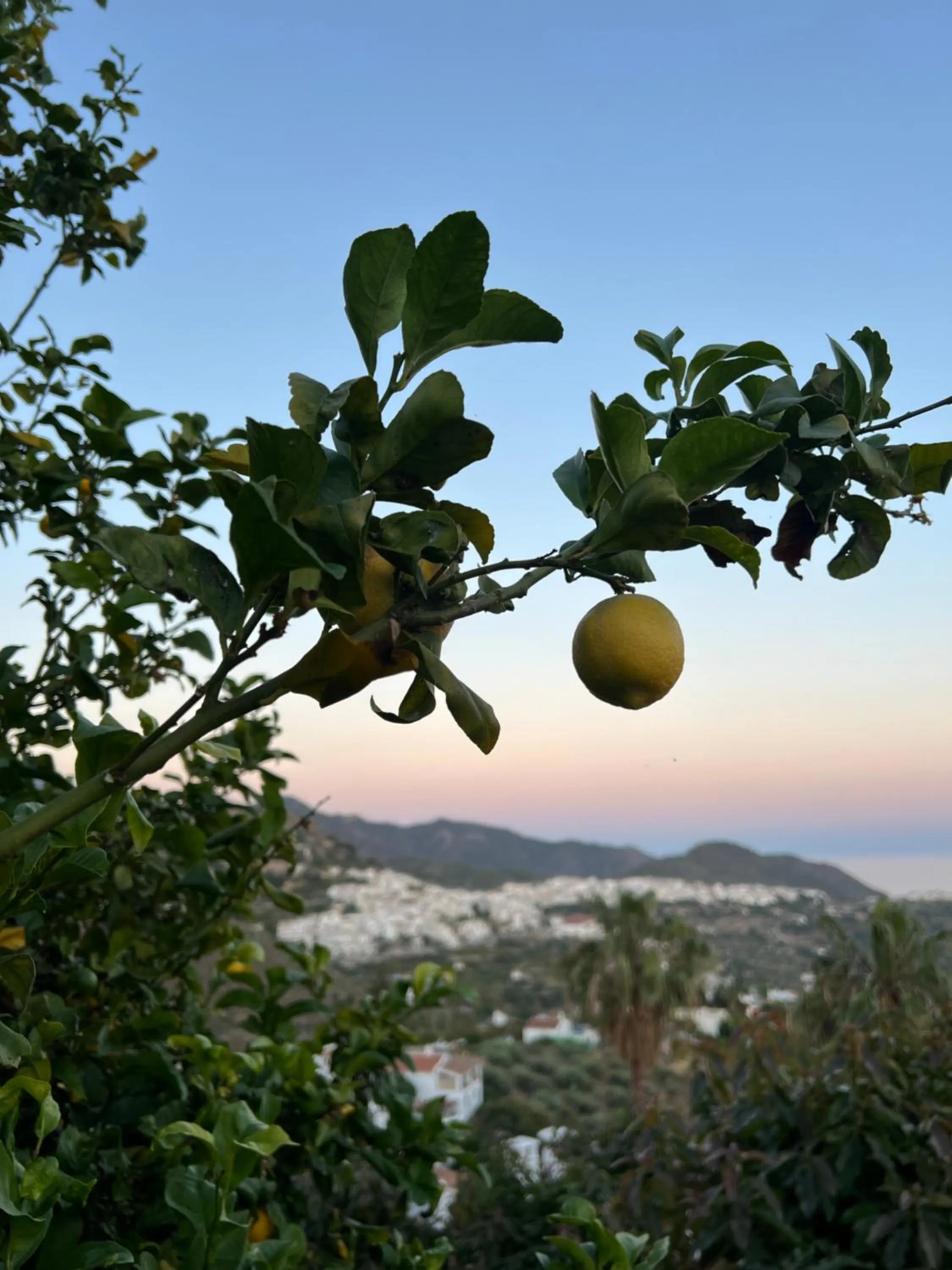 View (from property/room) in Posada Morisca Charming Hotel Boutique