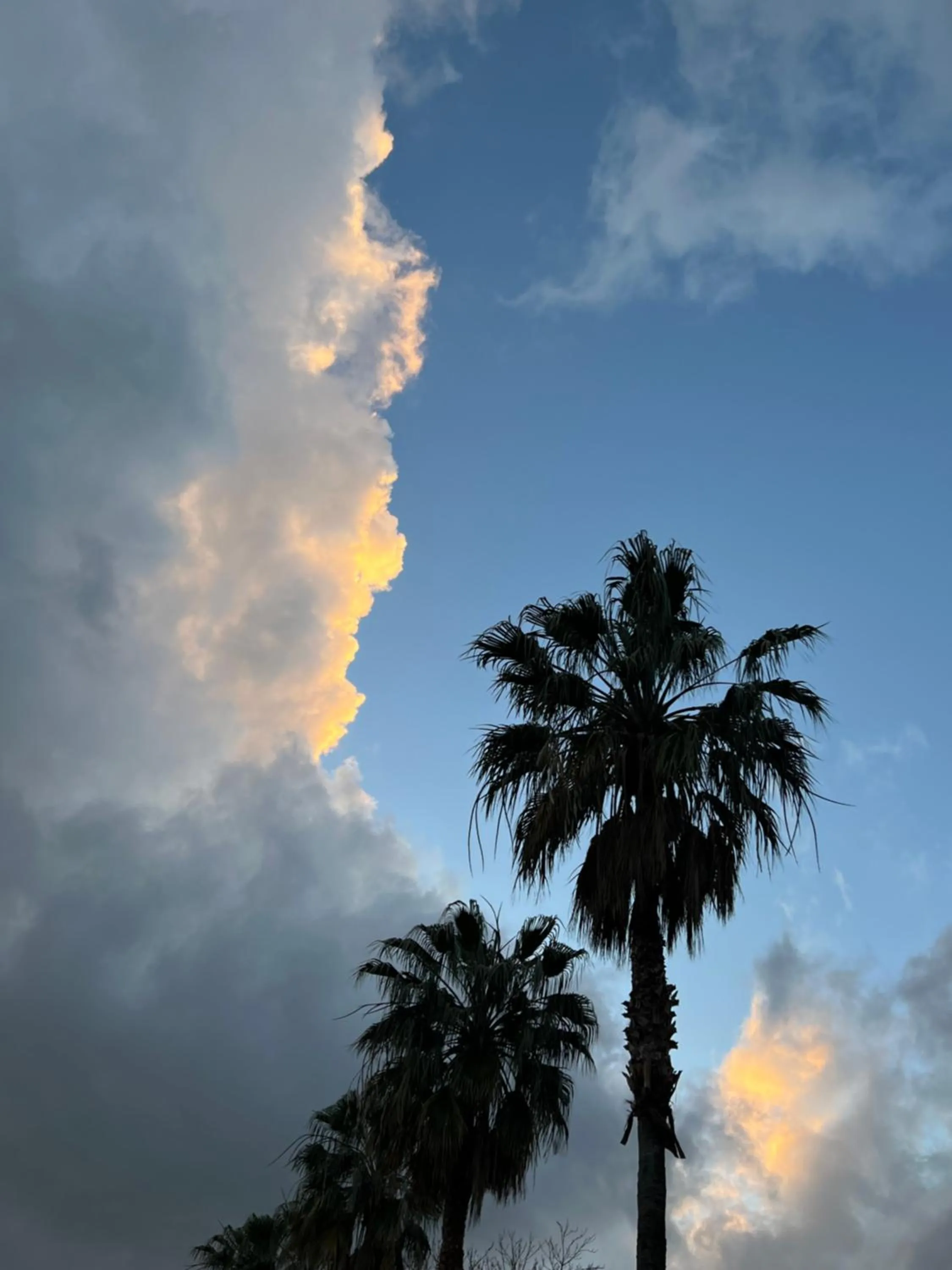 Bird's eye view in Posada Morisca Charming Hotel Boutique